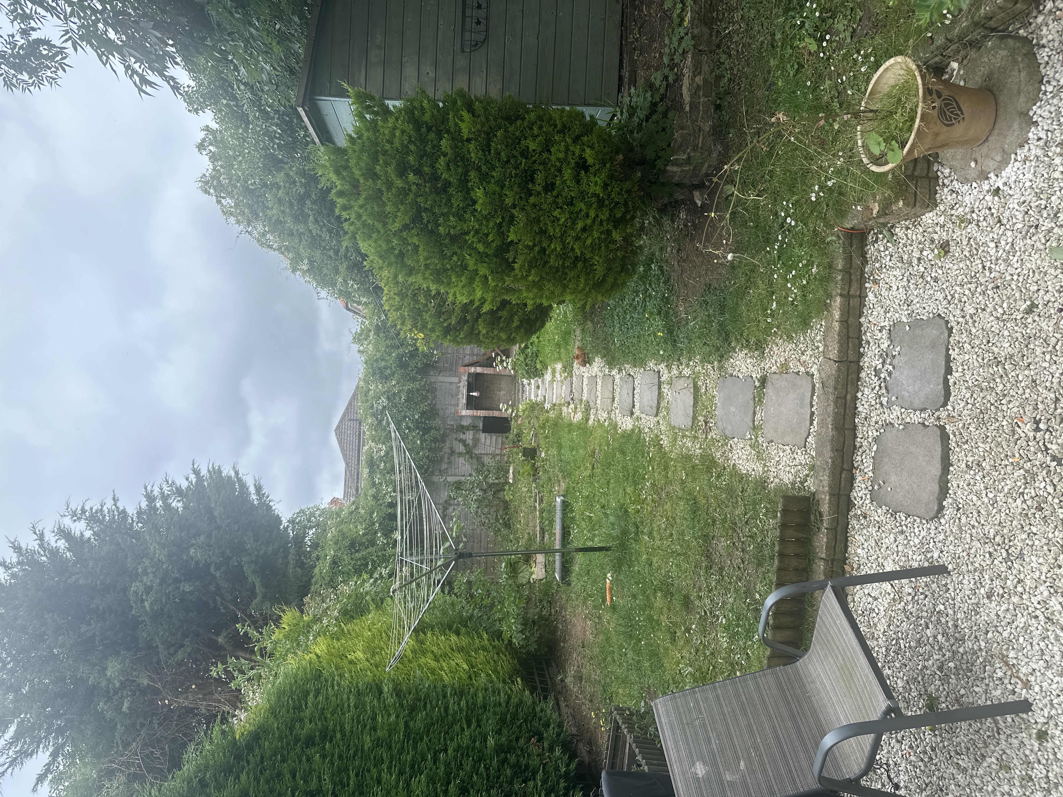 image-24