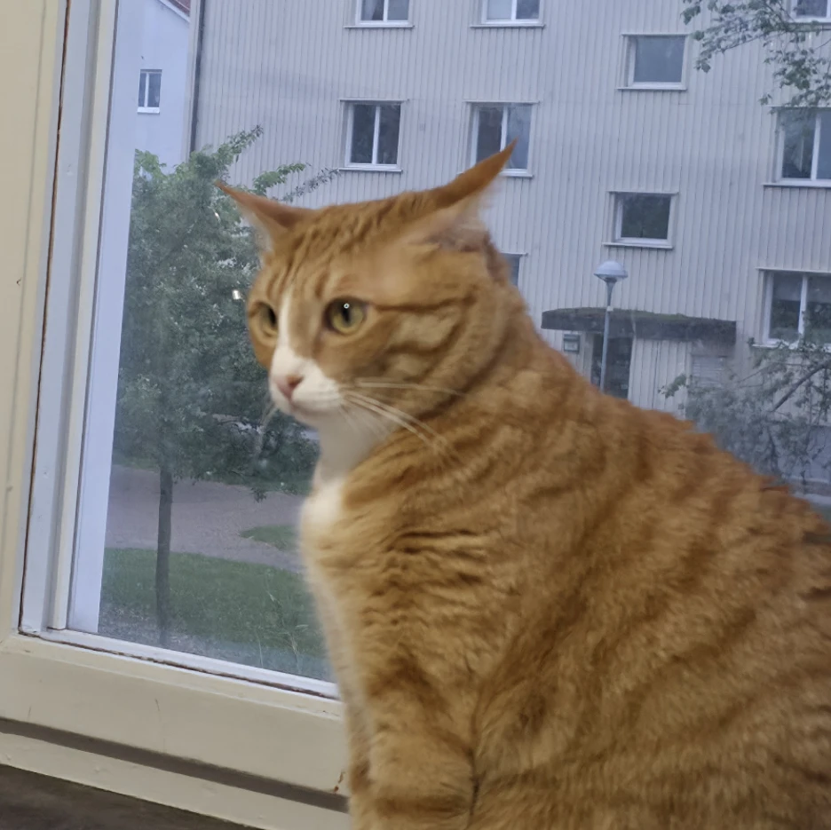 Tala