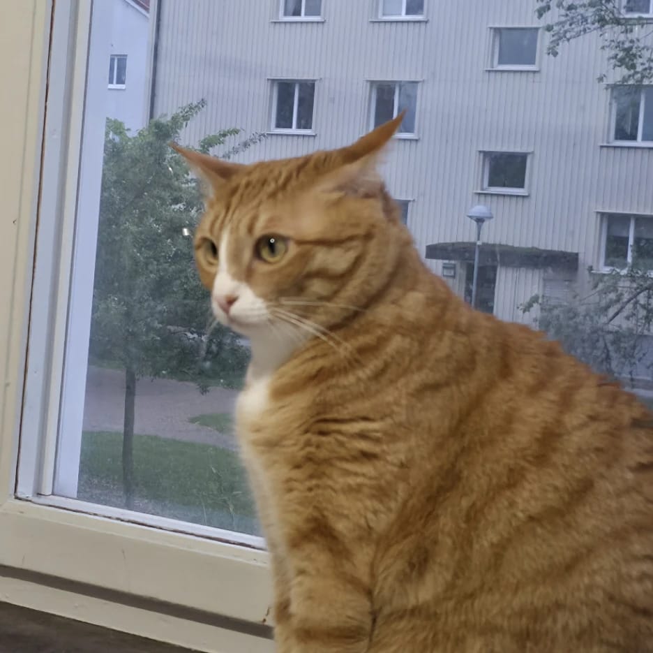 Tala