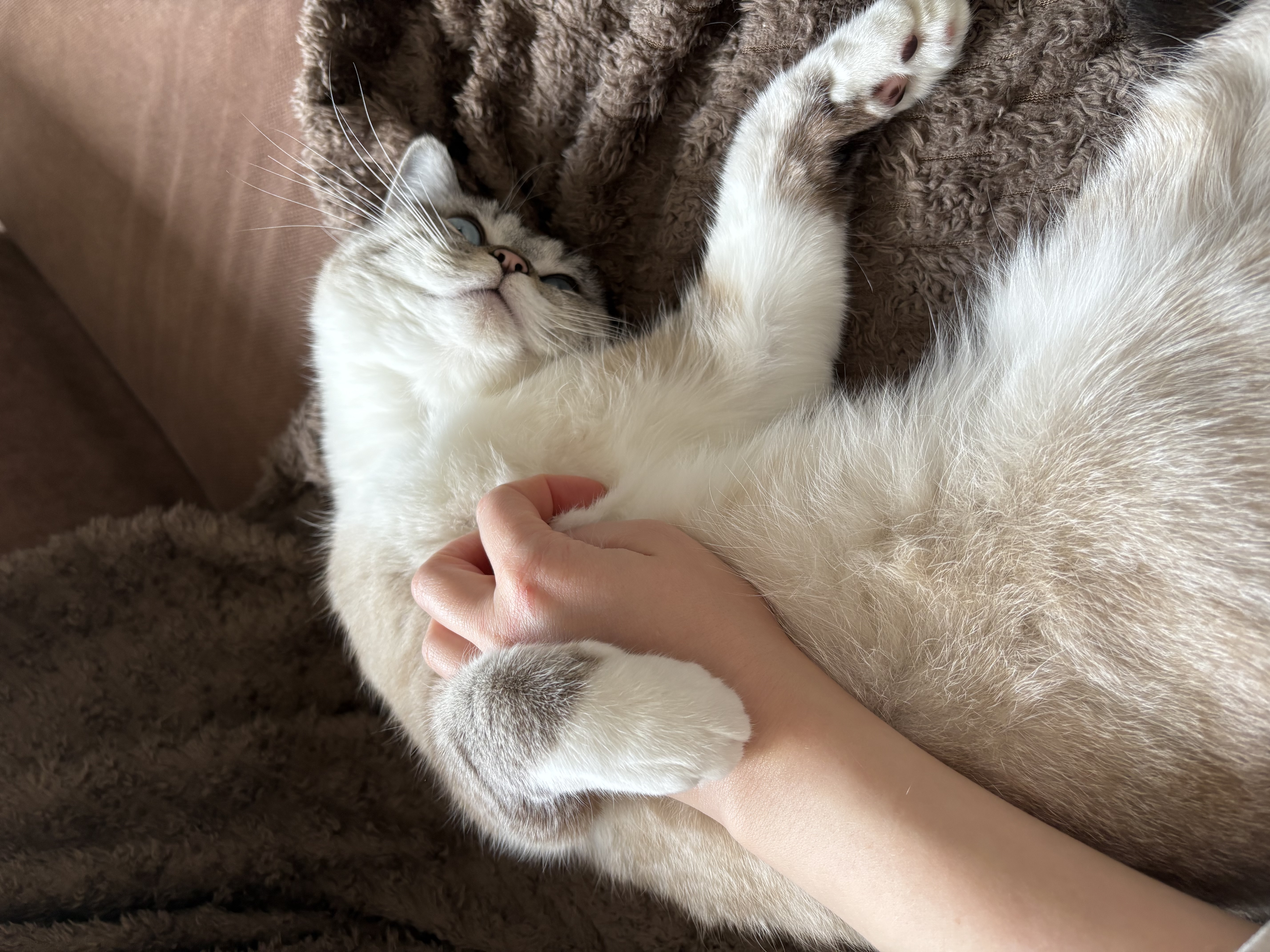 image-3