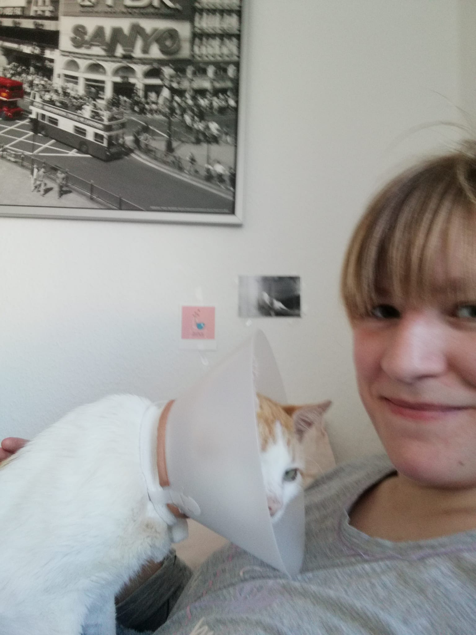 image-5