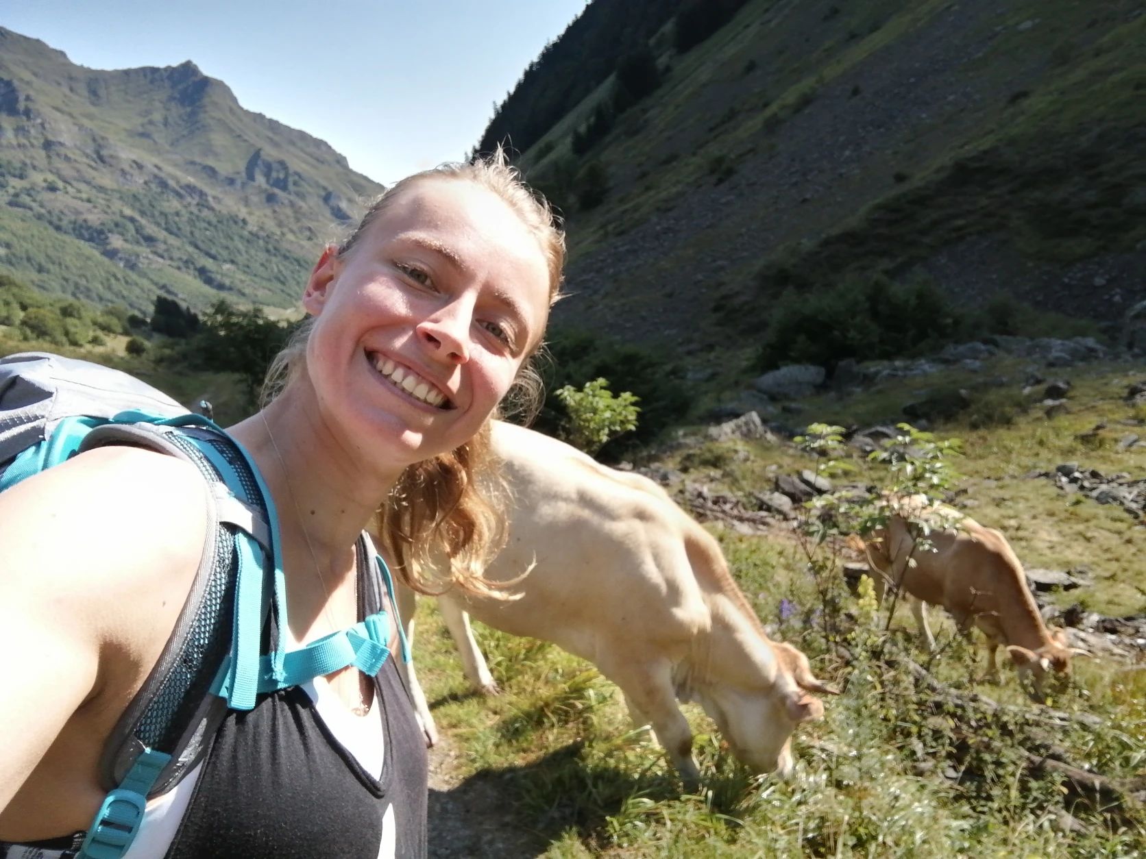 image-8