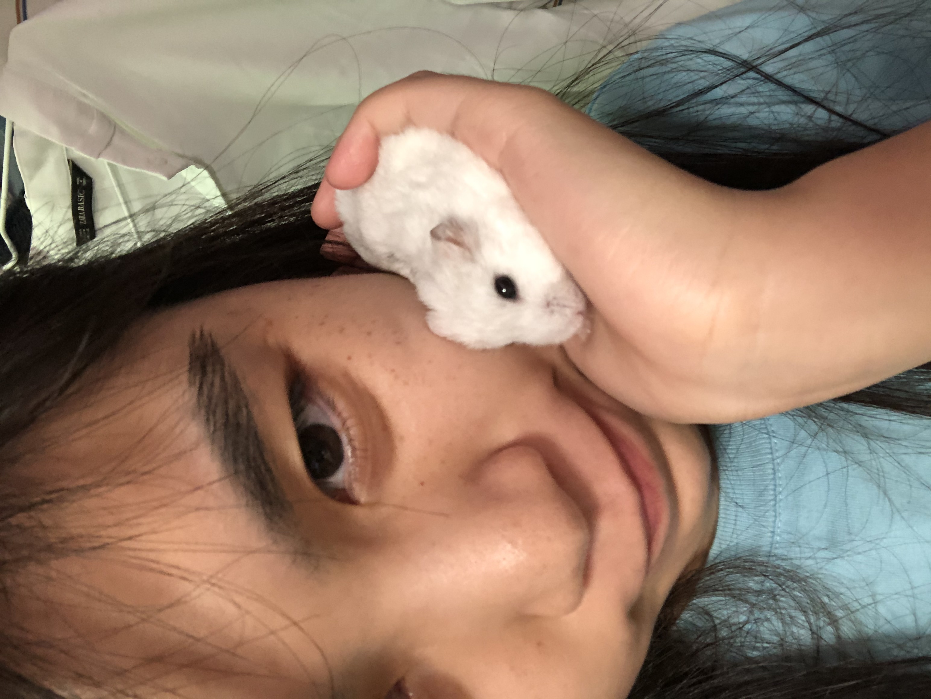 image-7