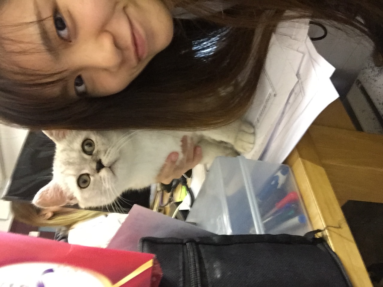 image-11