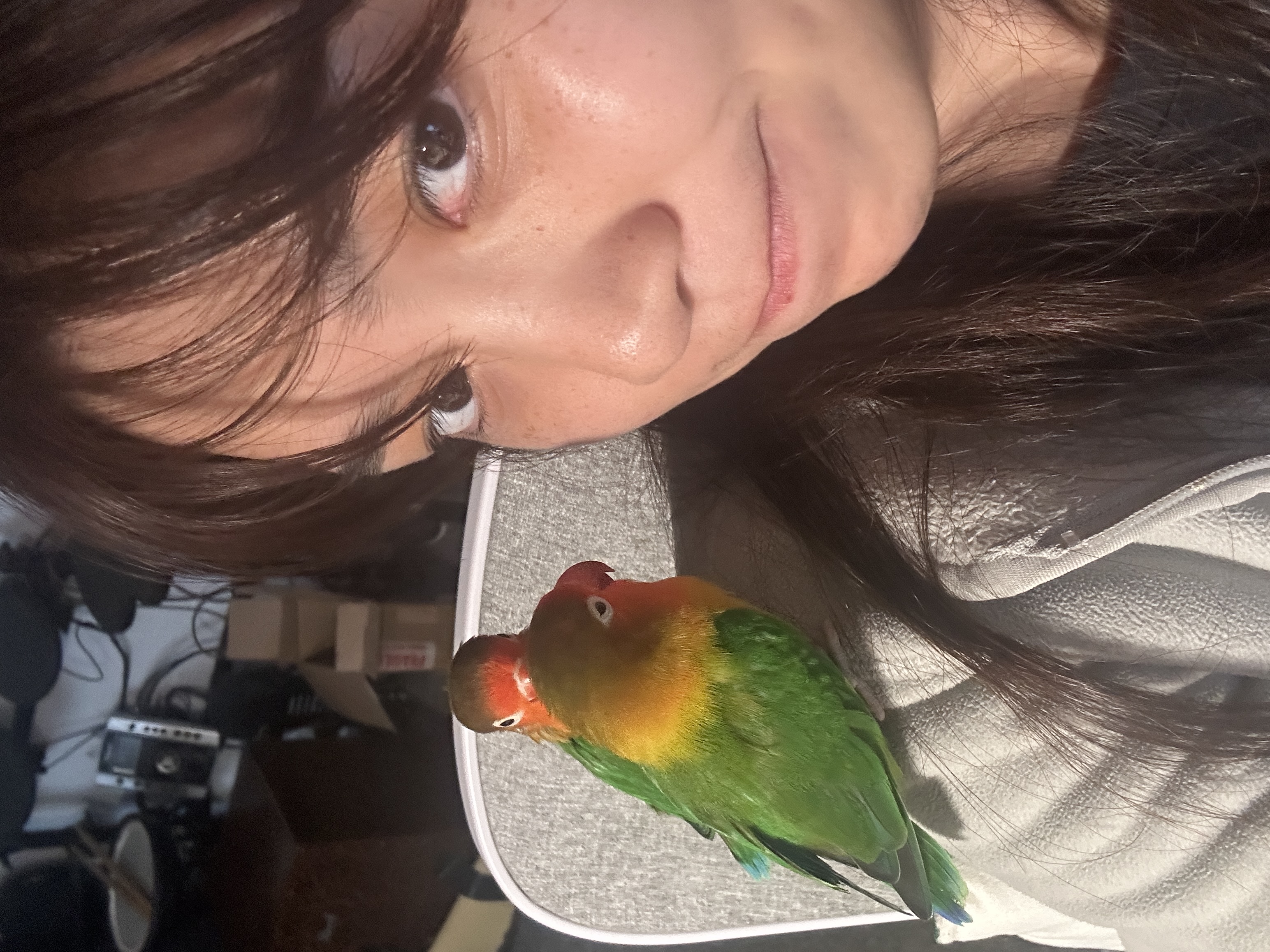 image-6