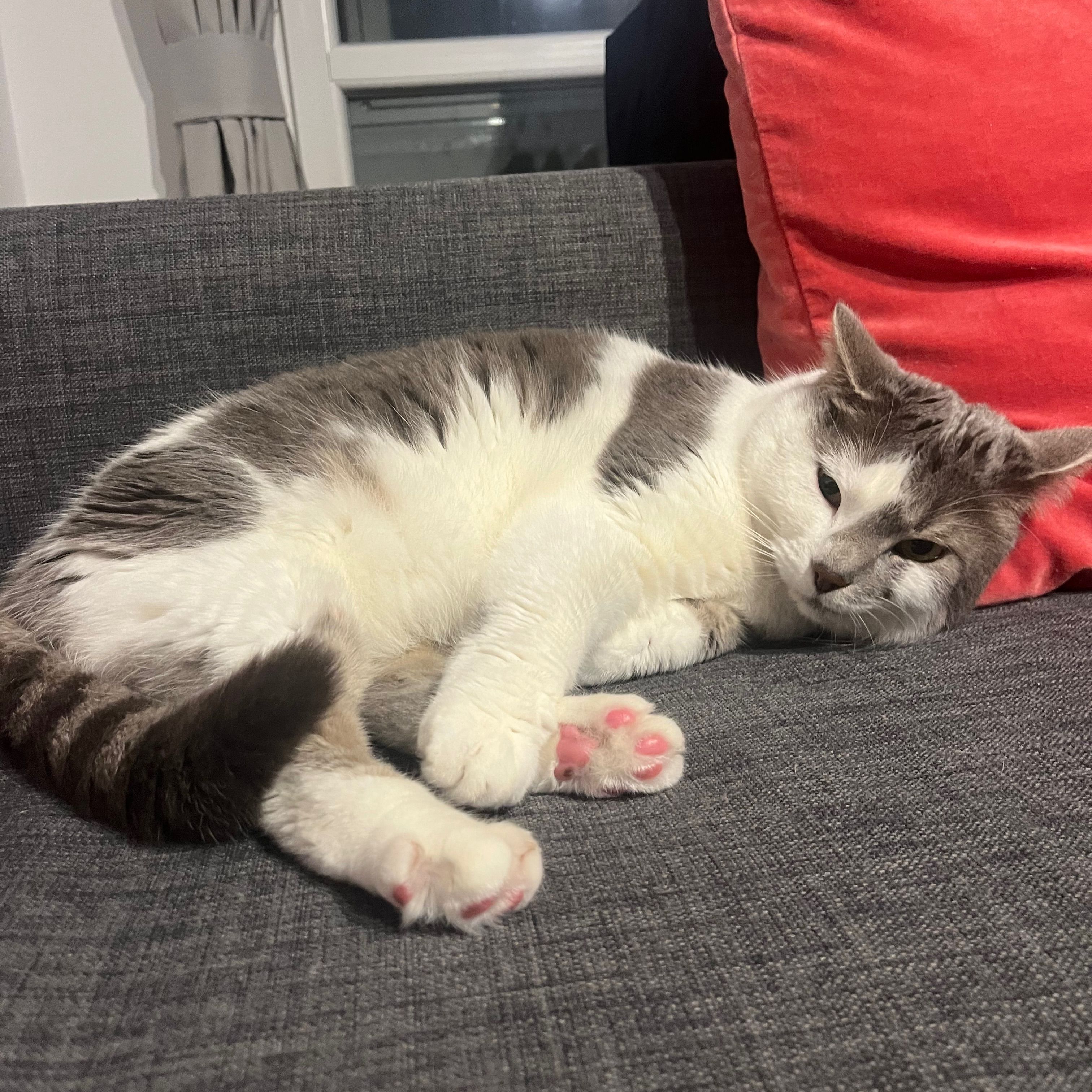 Nala