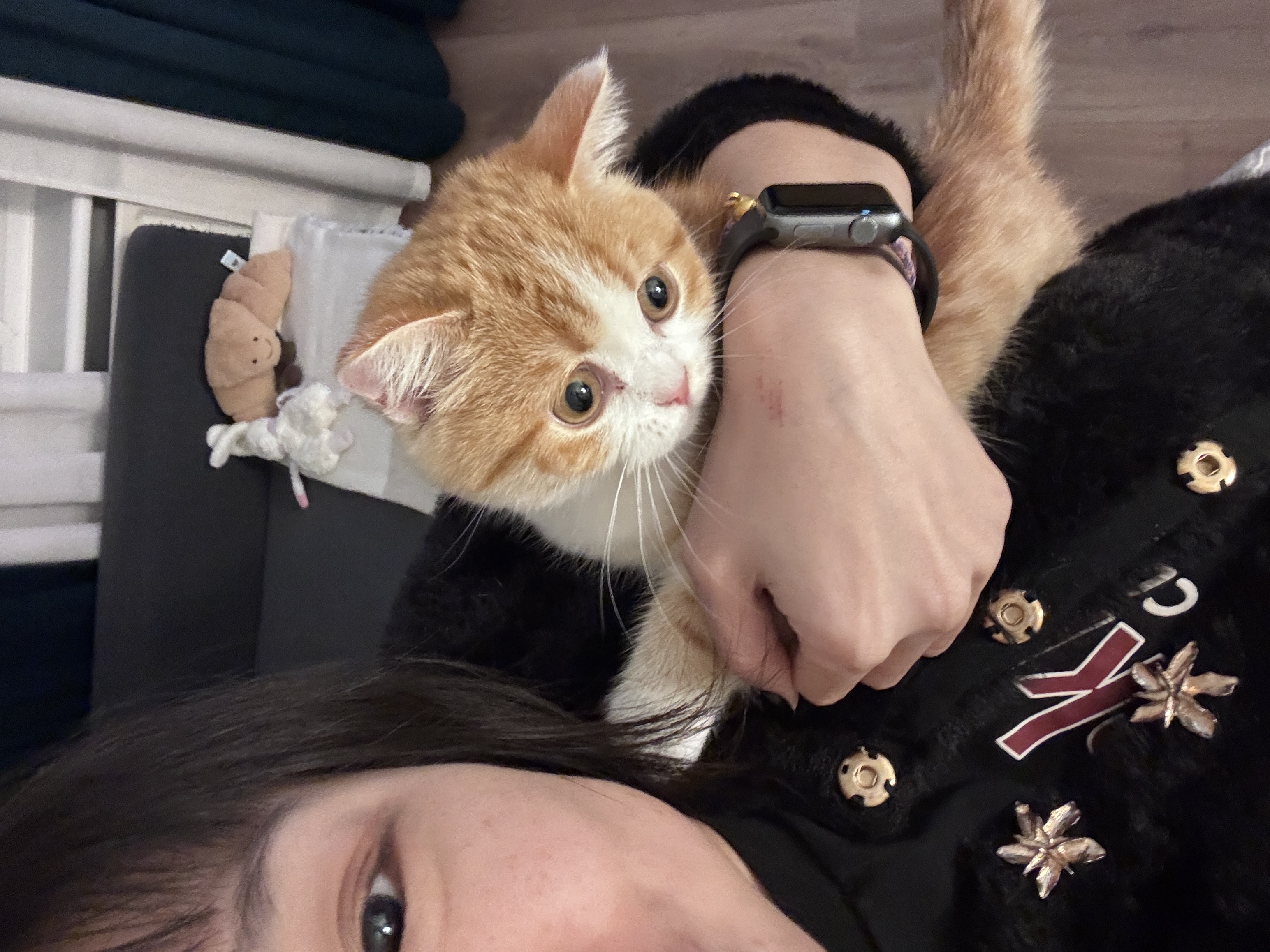image-7