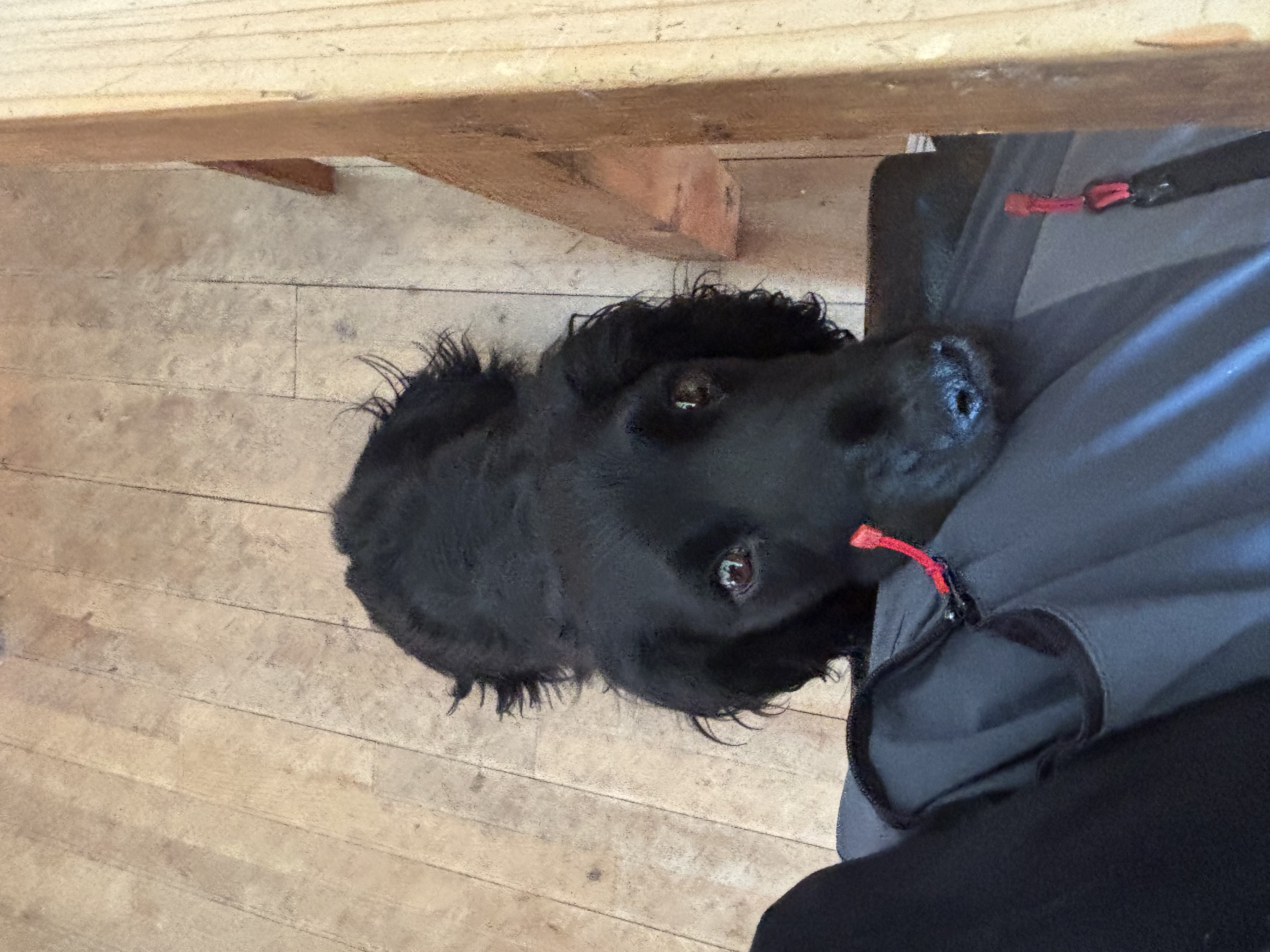 image-5