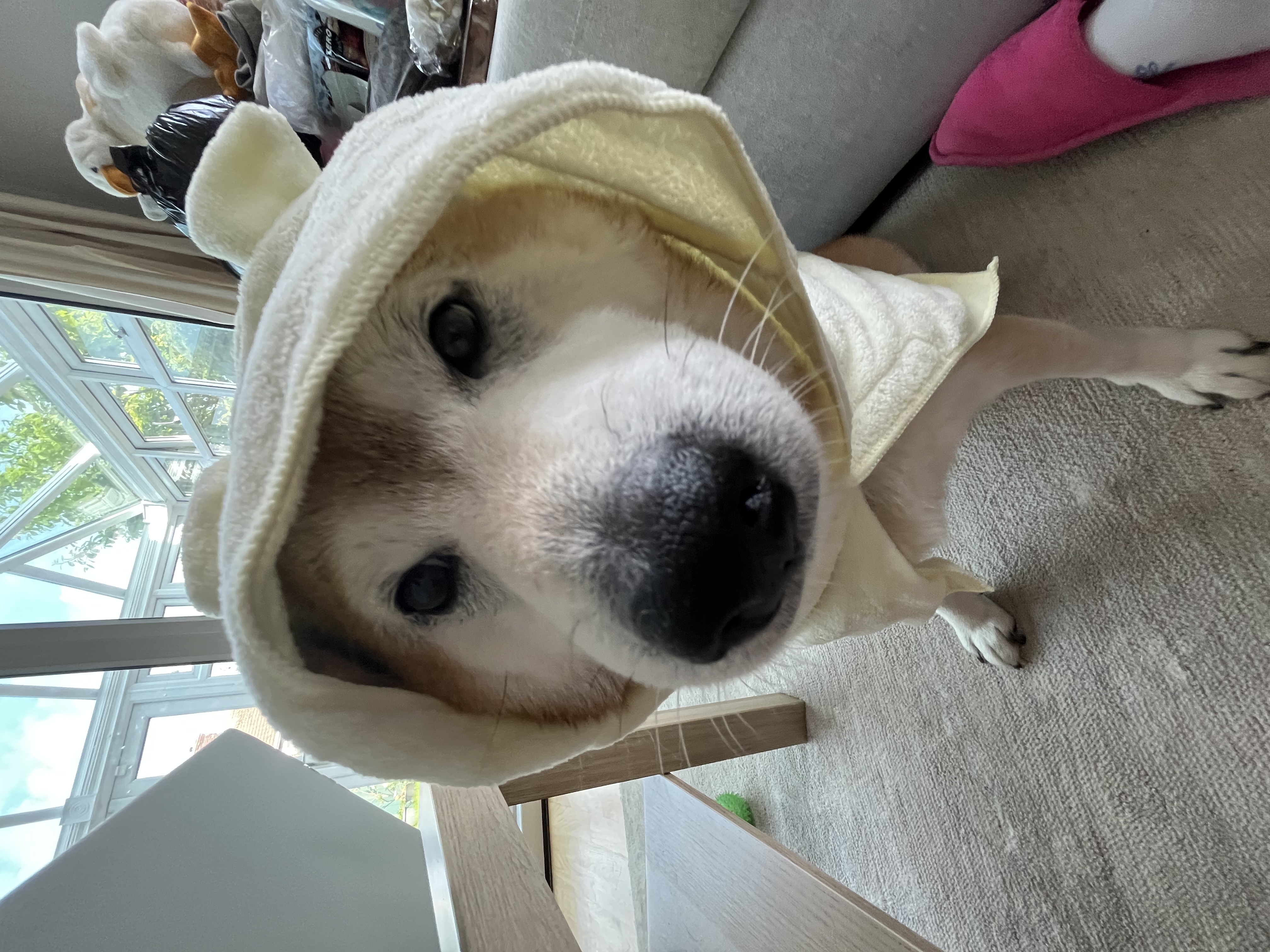 image-6