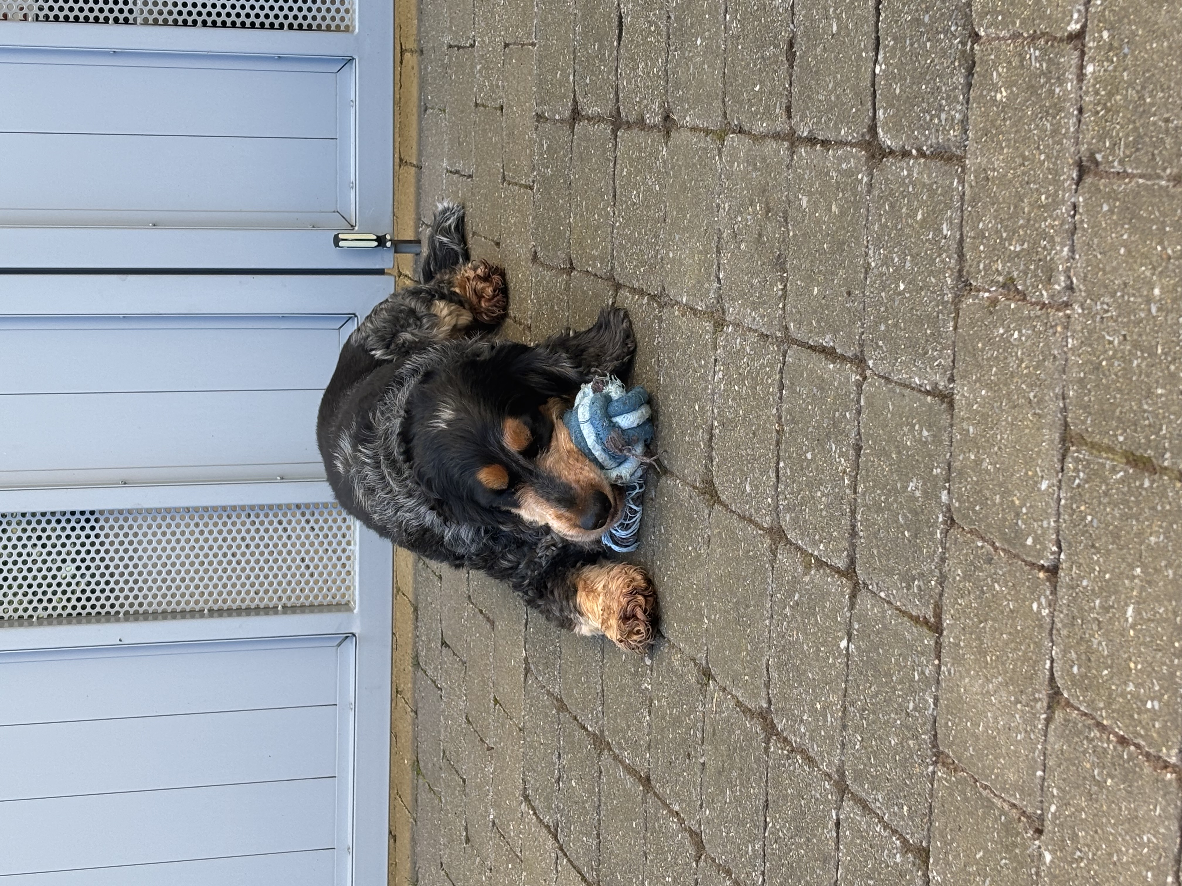 image-27