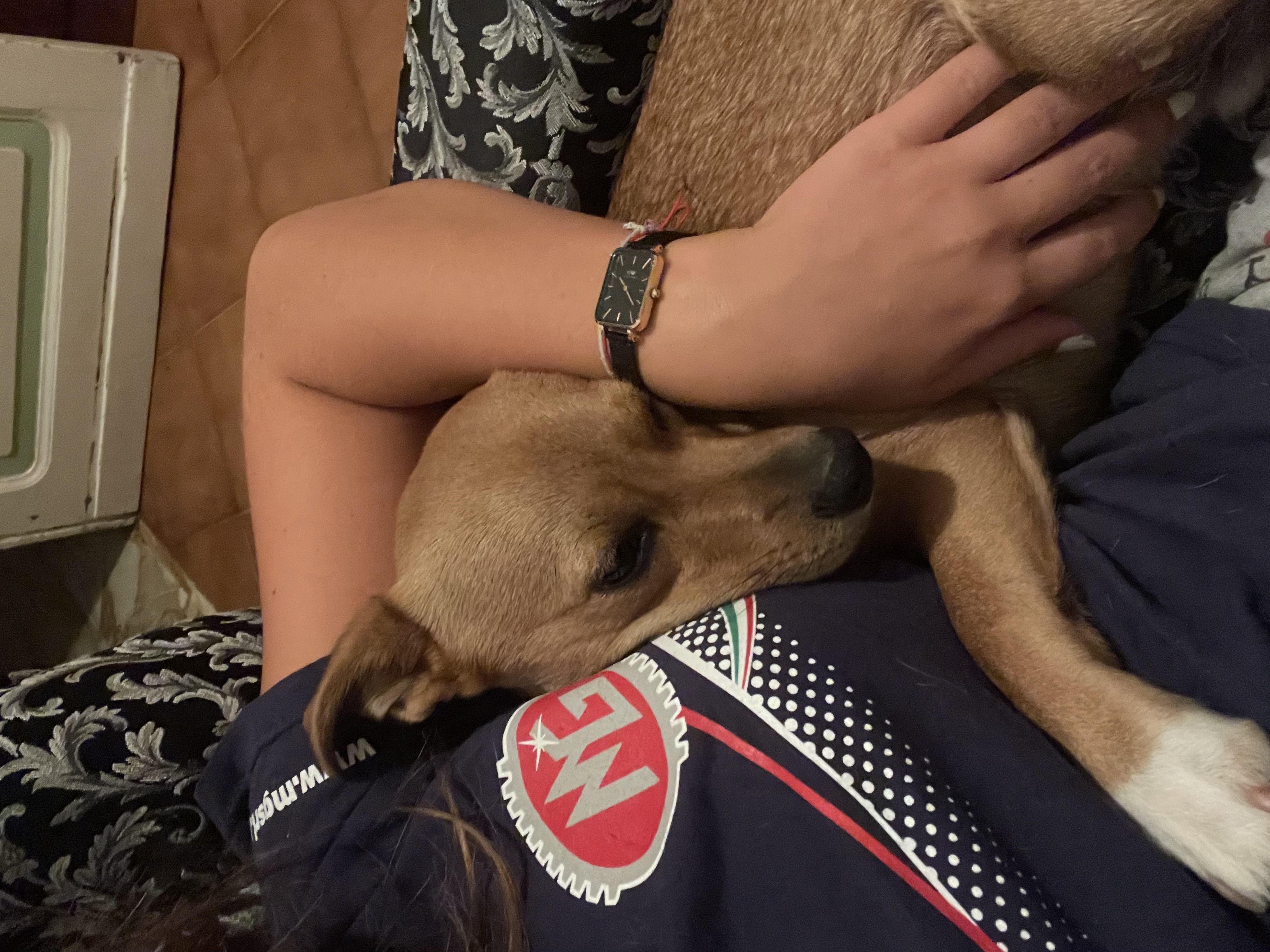 image-7