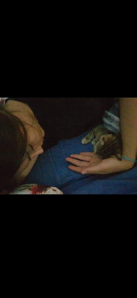 image-5
