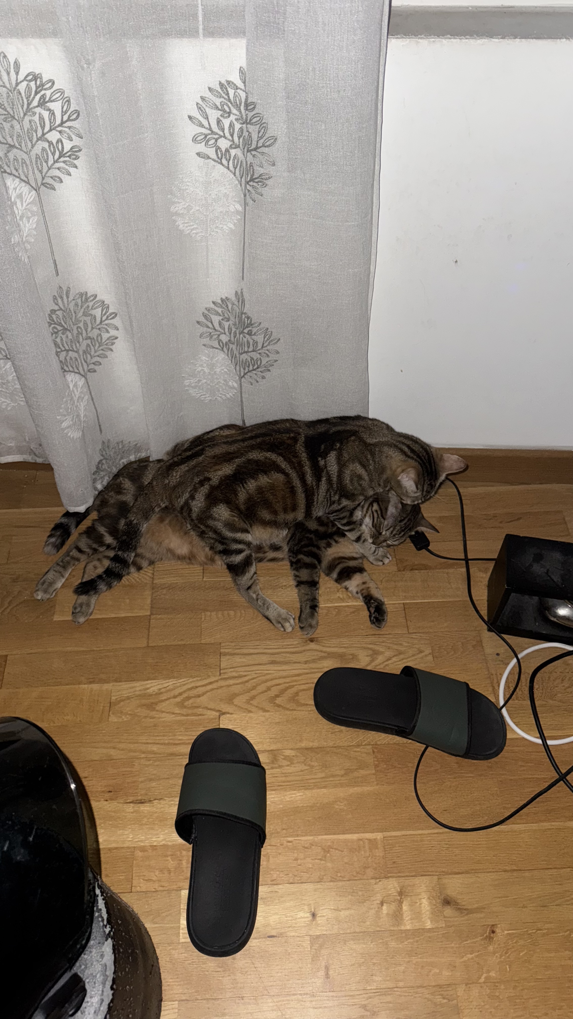 image-5