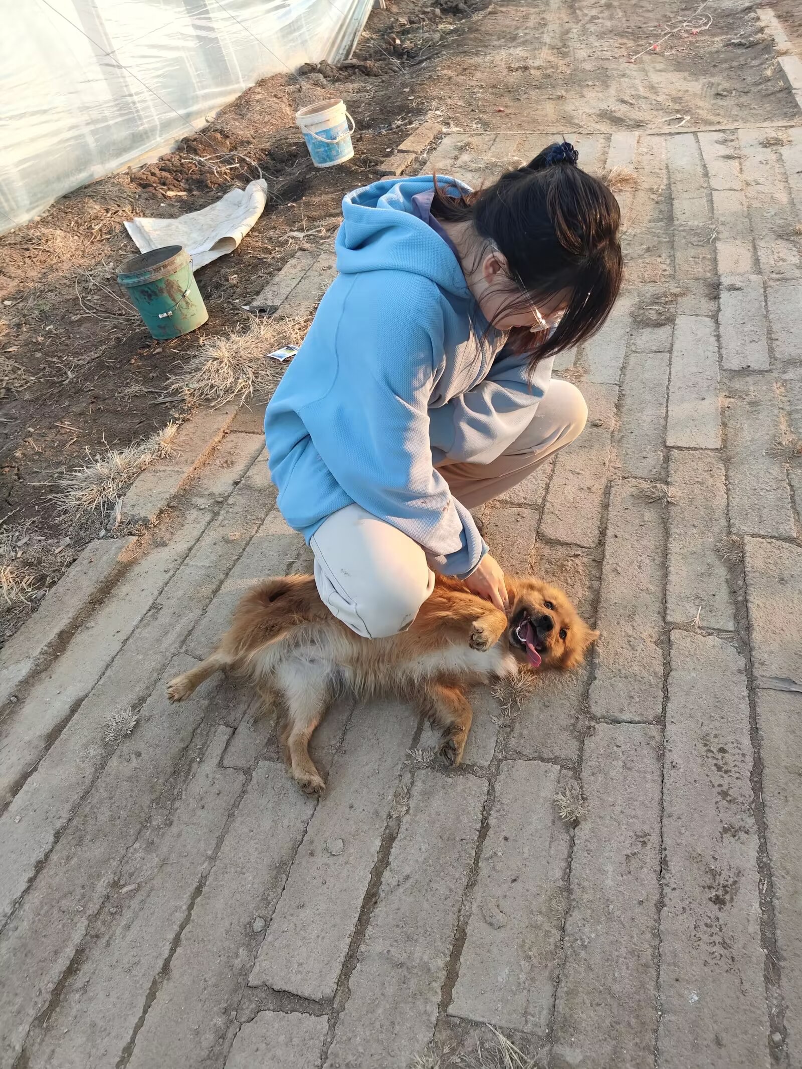 image-5