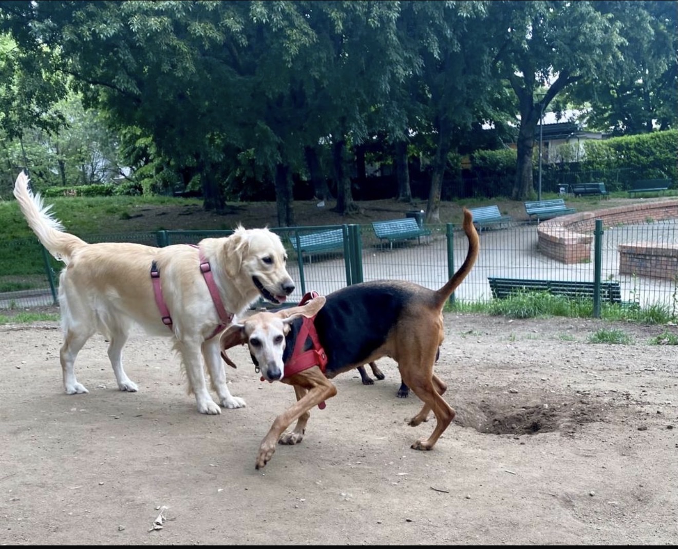 image-12
