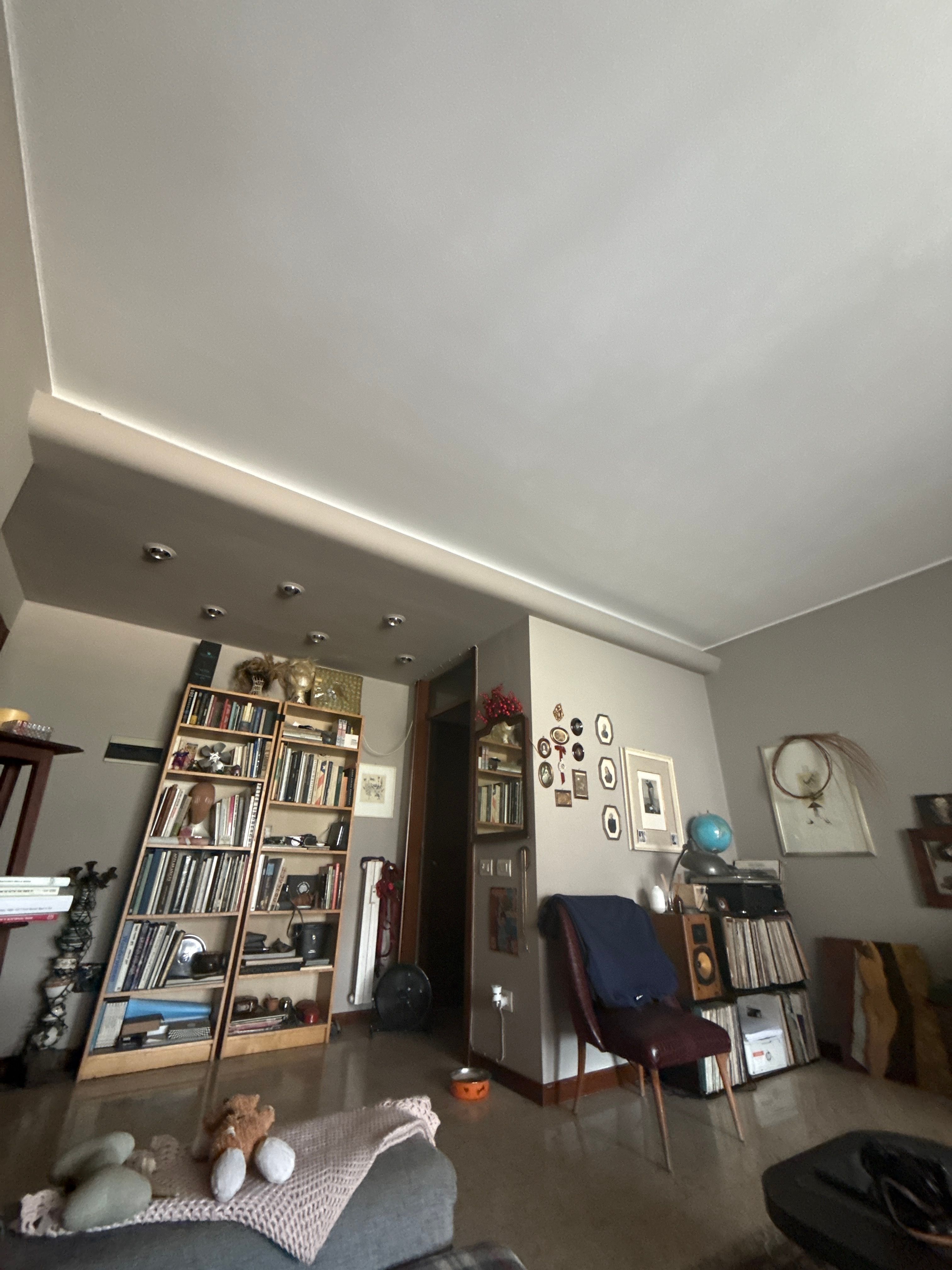 image-19