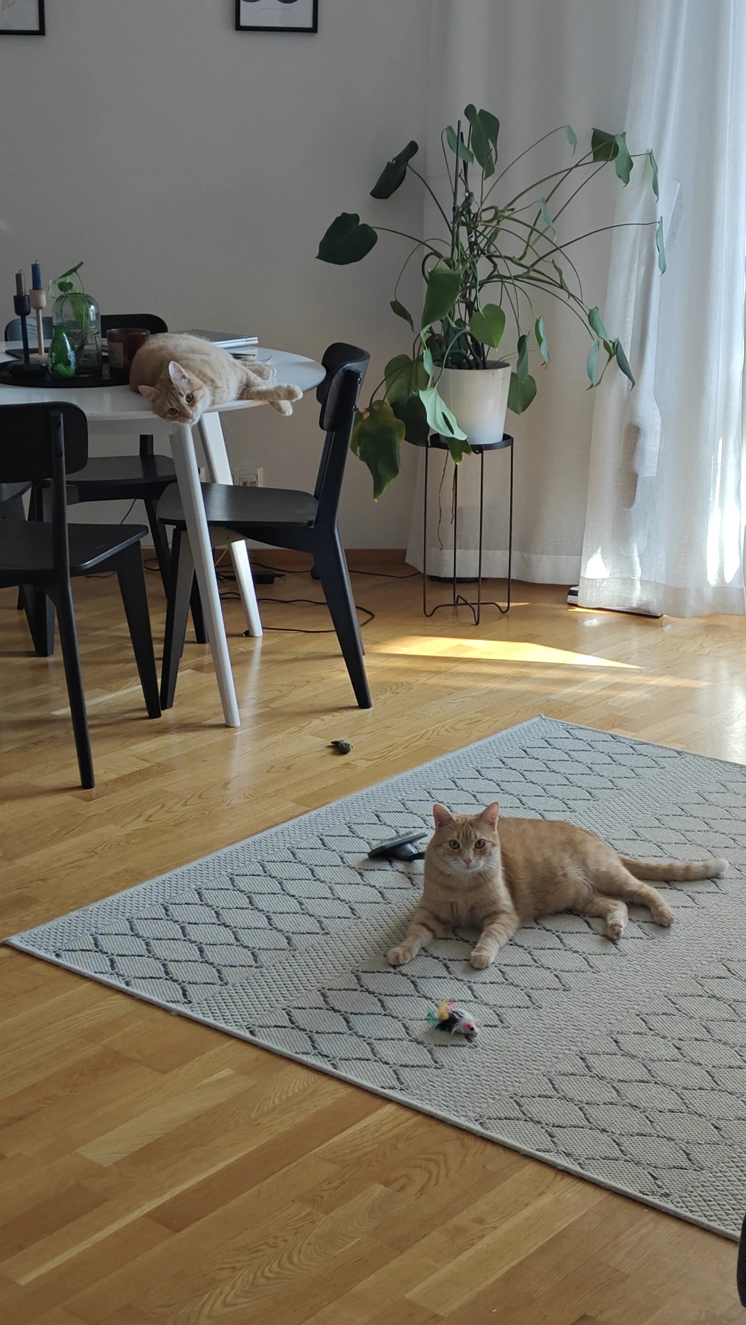 image-21