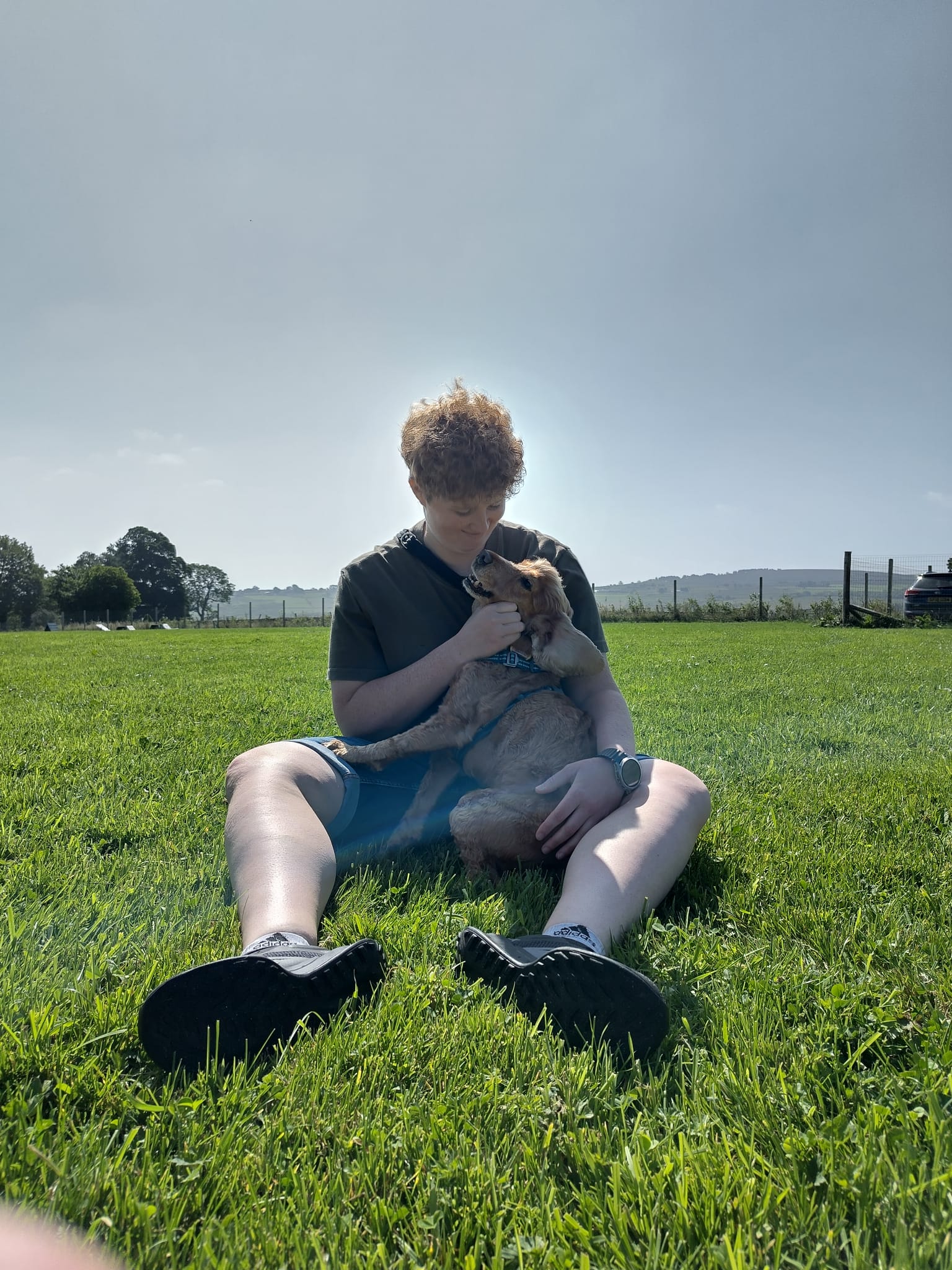 image-7