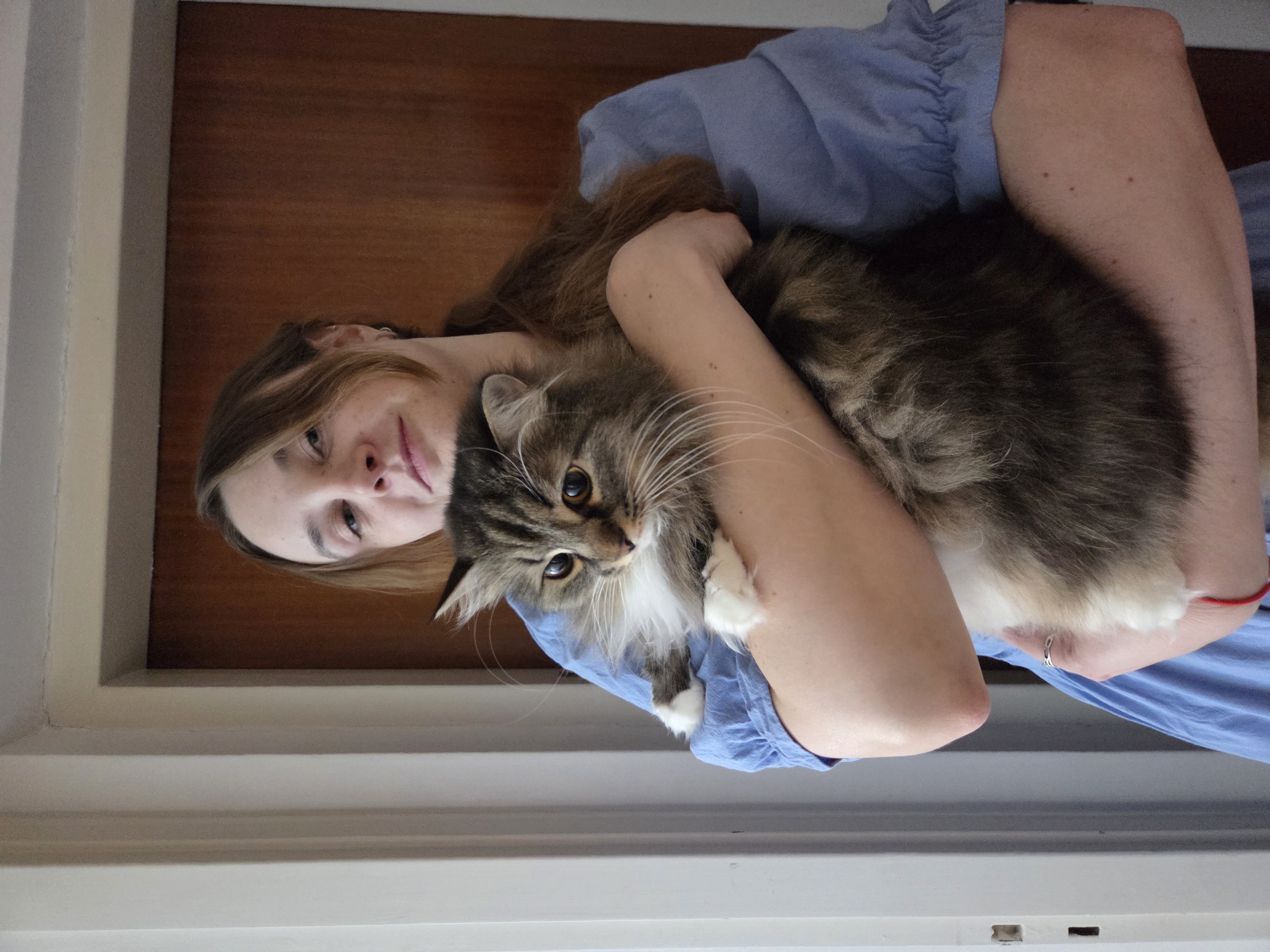 image-7