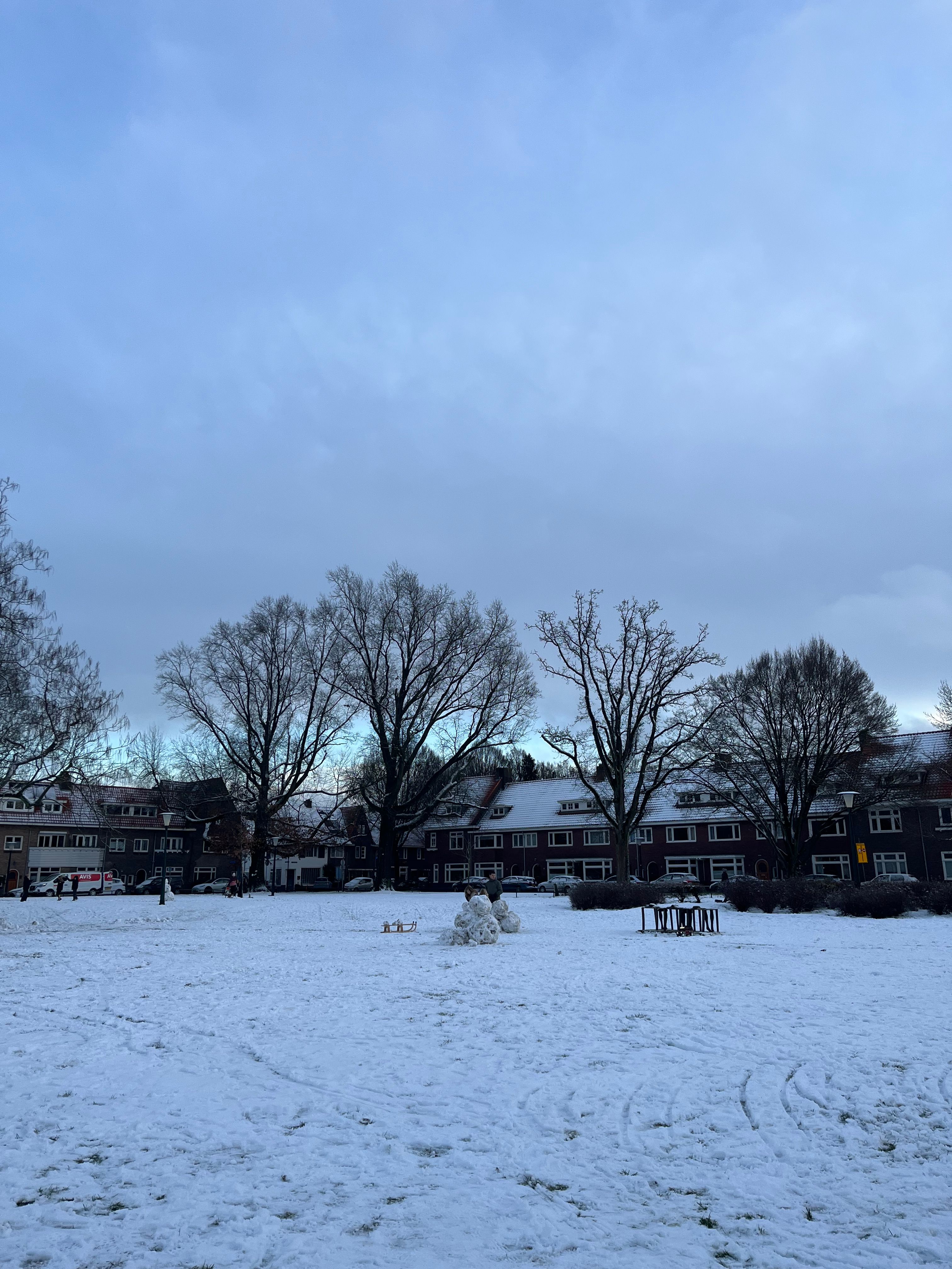 image-19