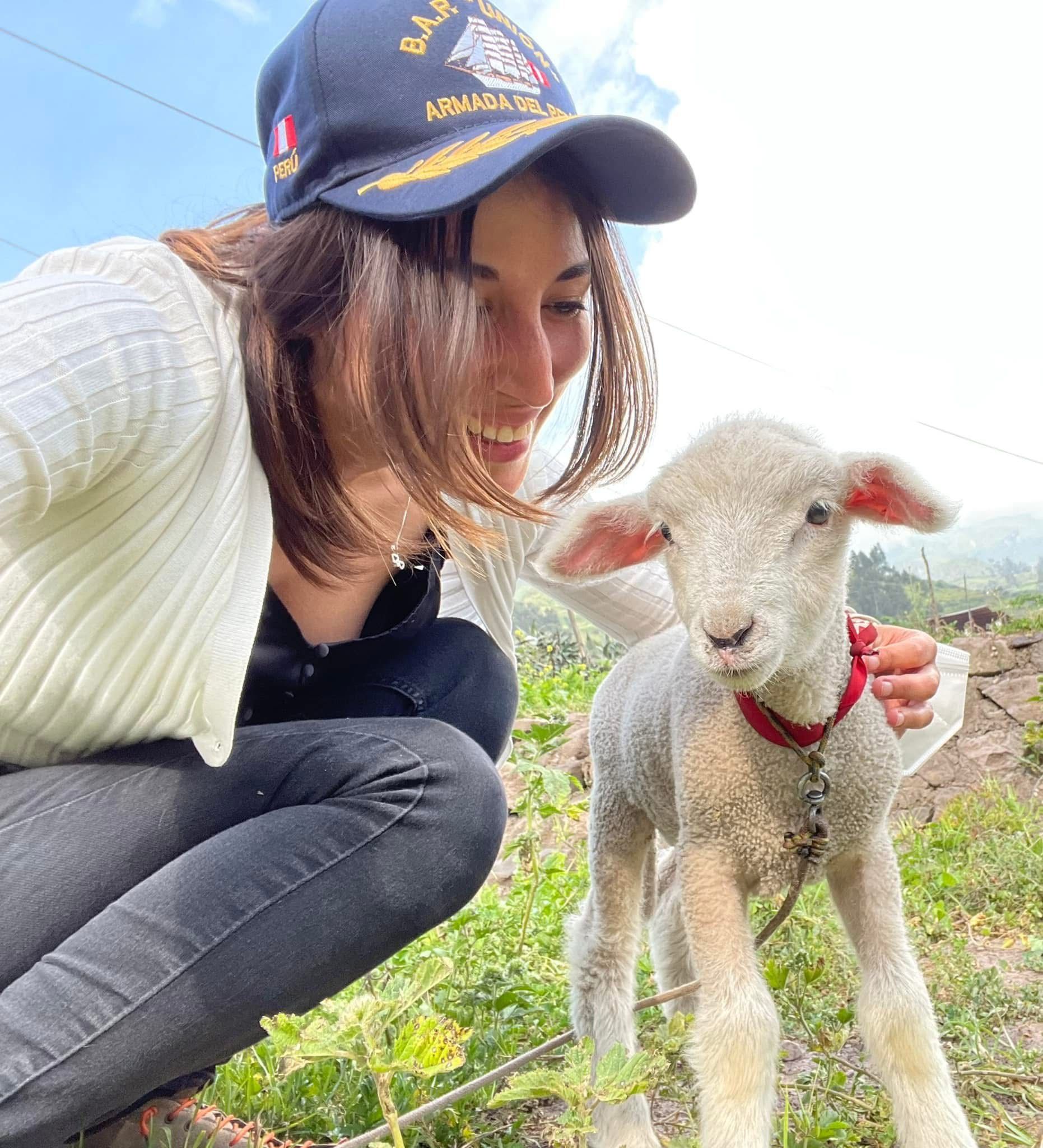 image-2