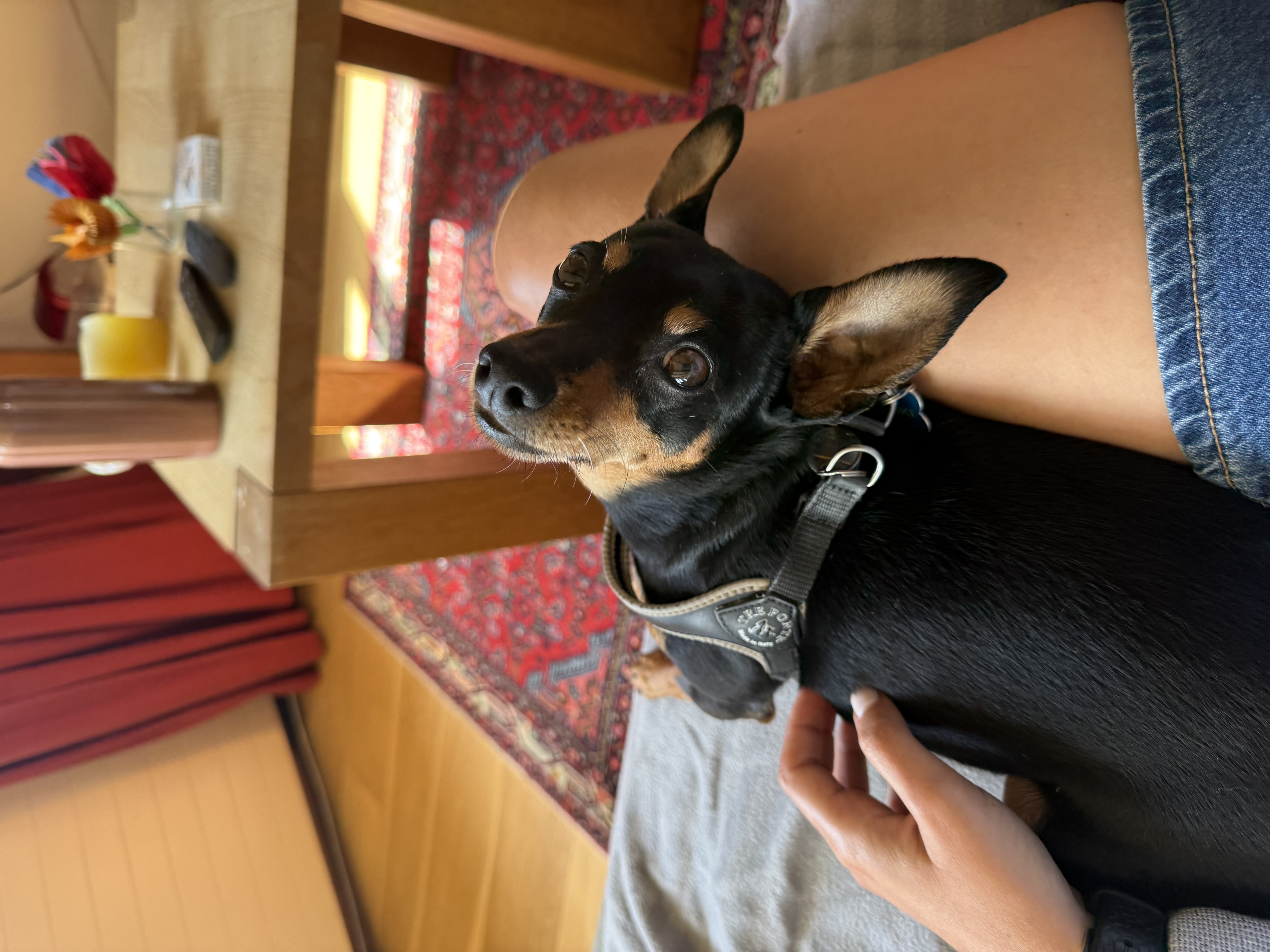 image-15