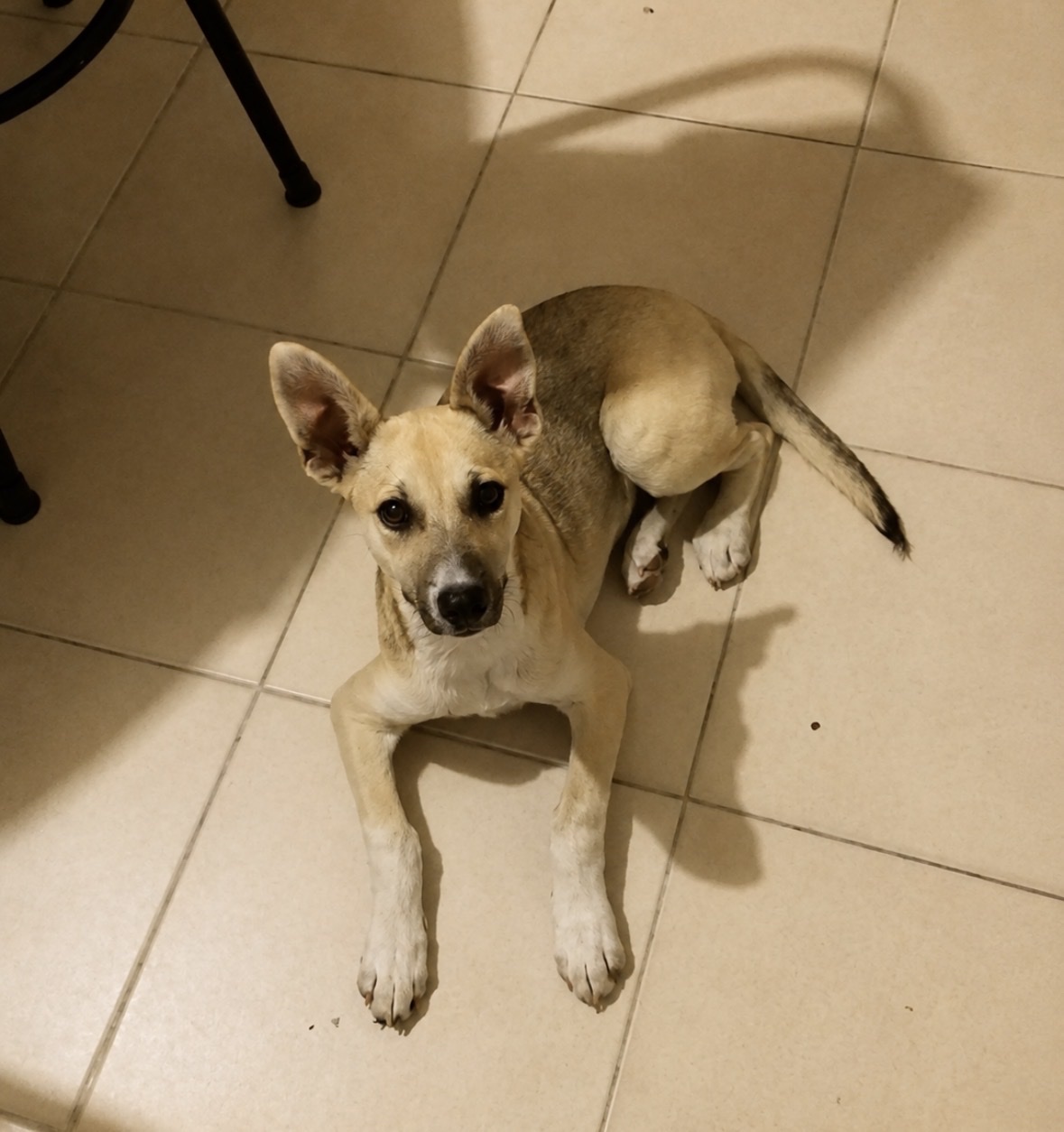 image-4