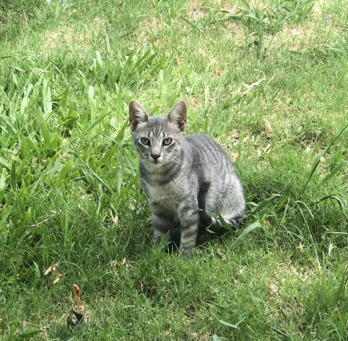 image-8