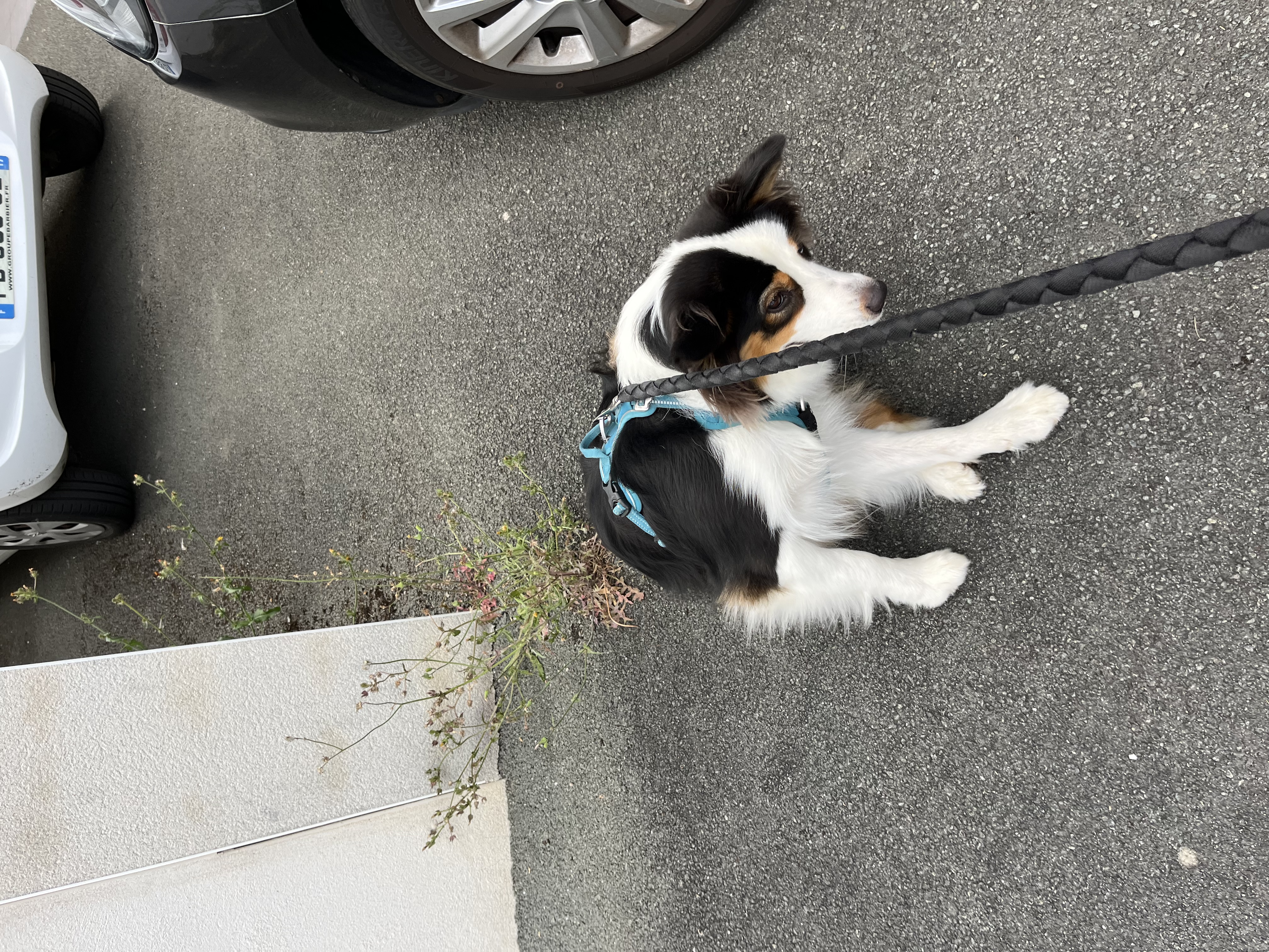 image-8