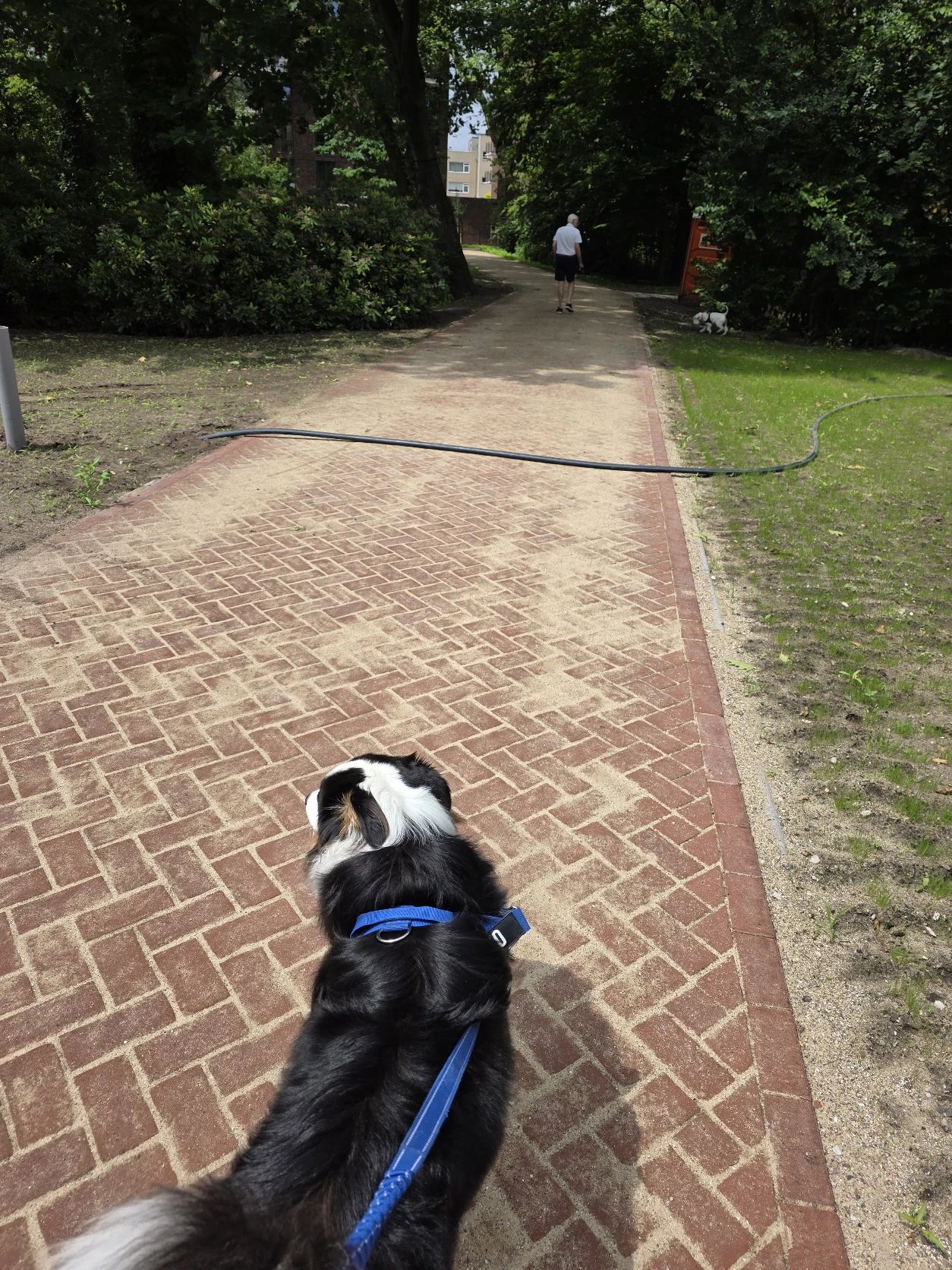image-8