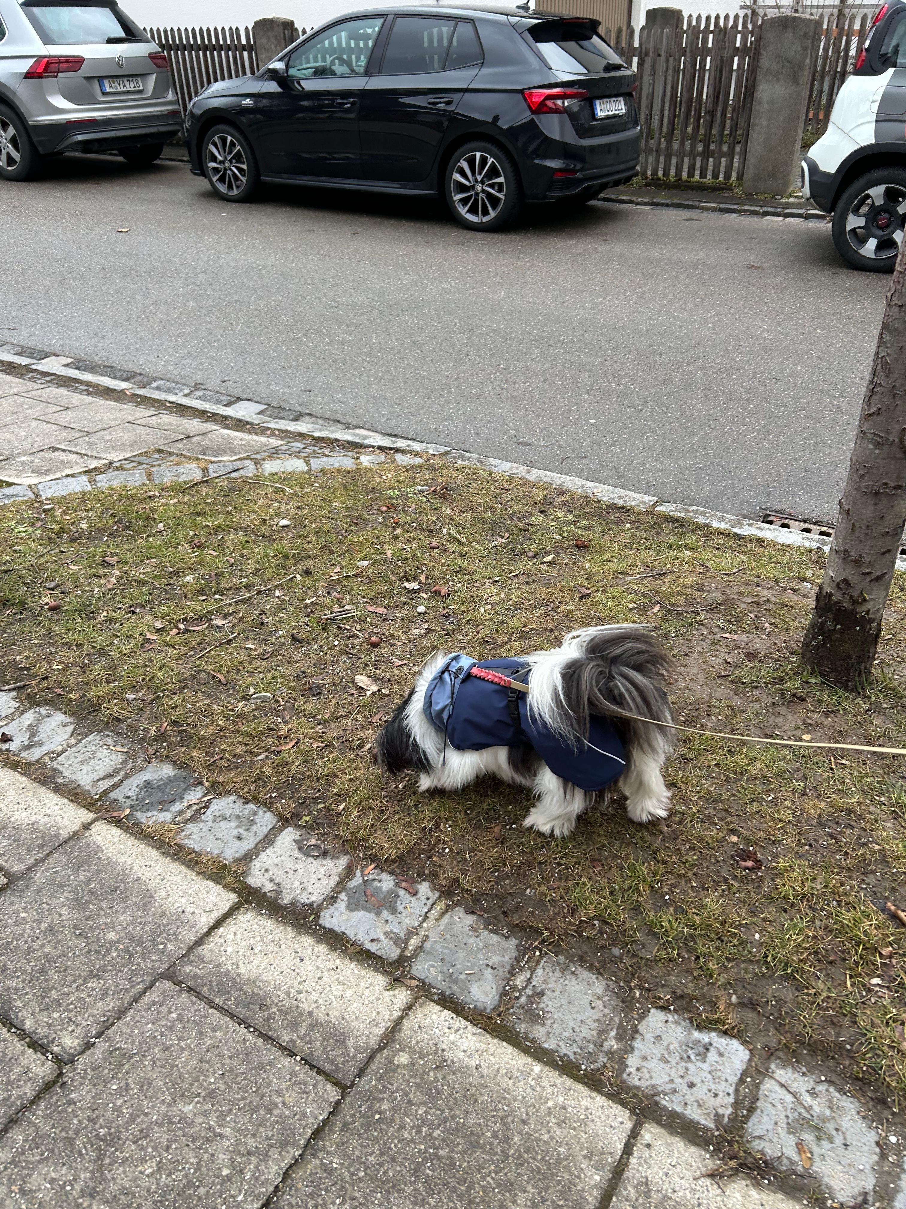 image-23
