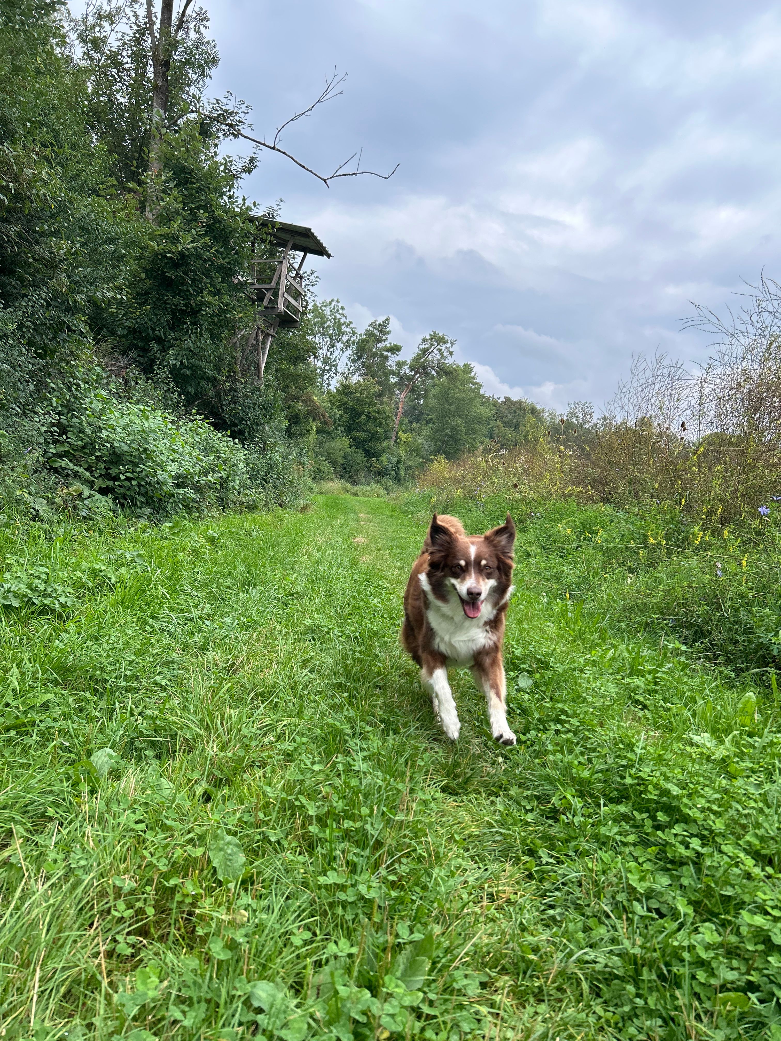 image-19
