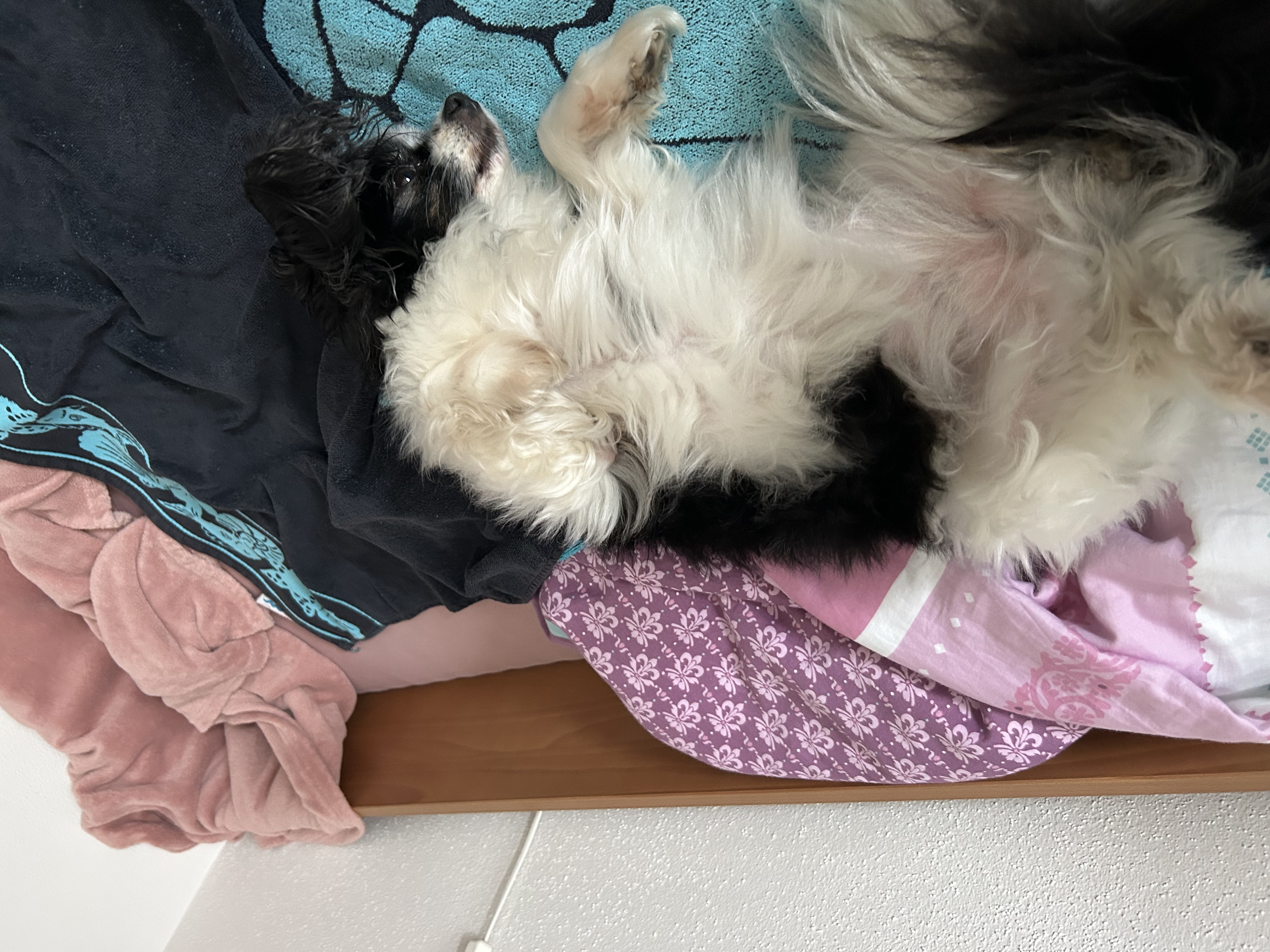 image-21