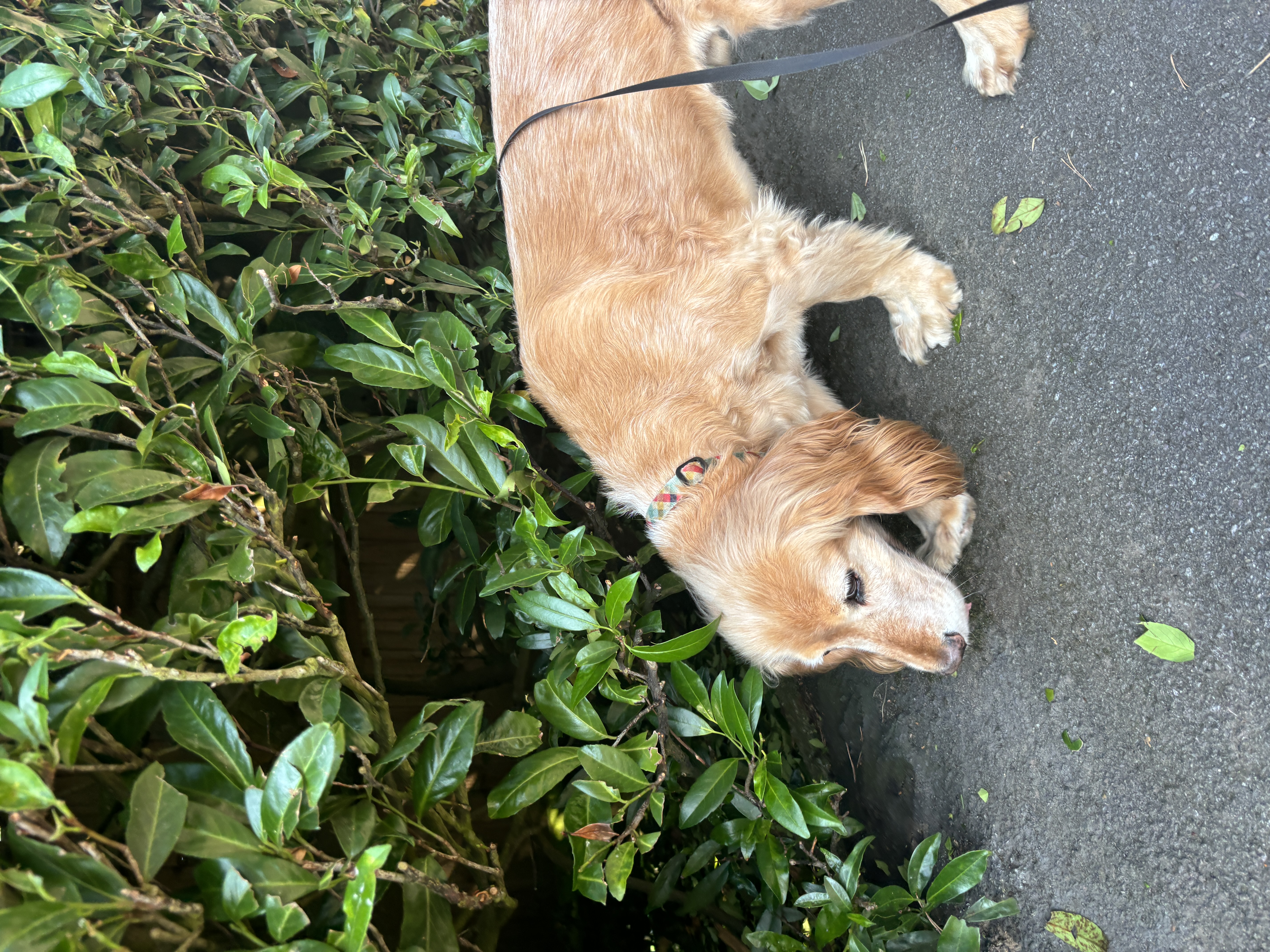 image-7