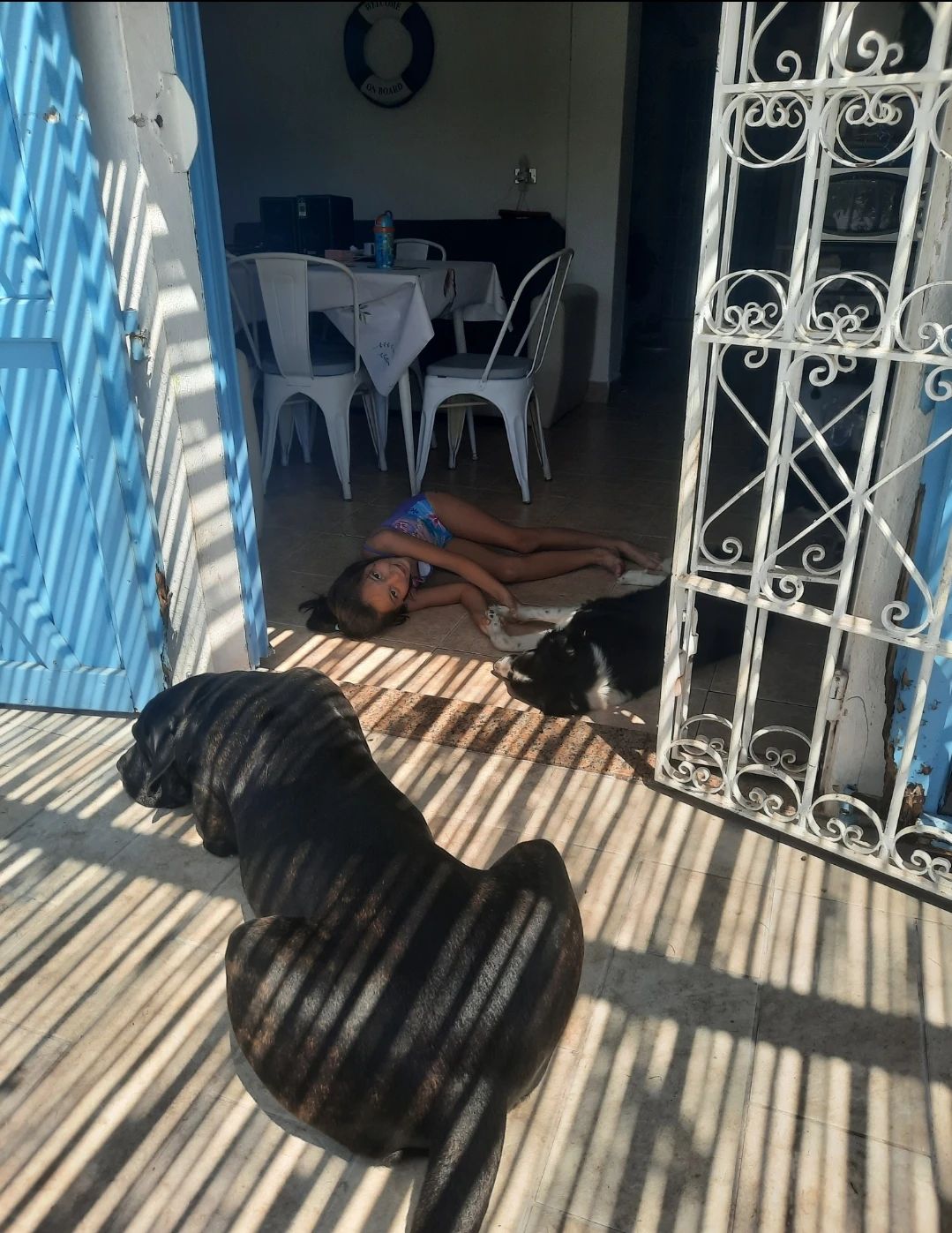 image-12