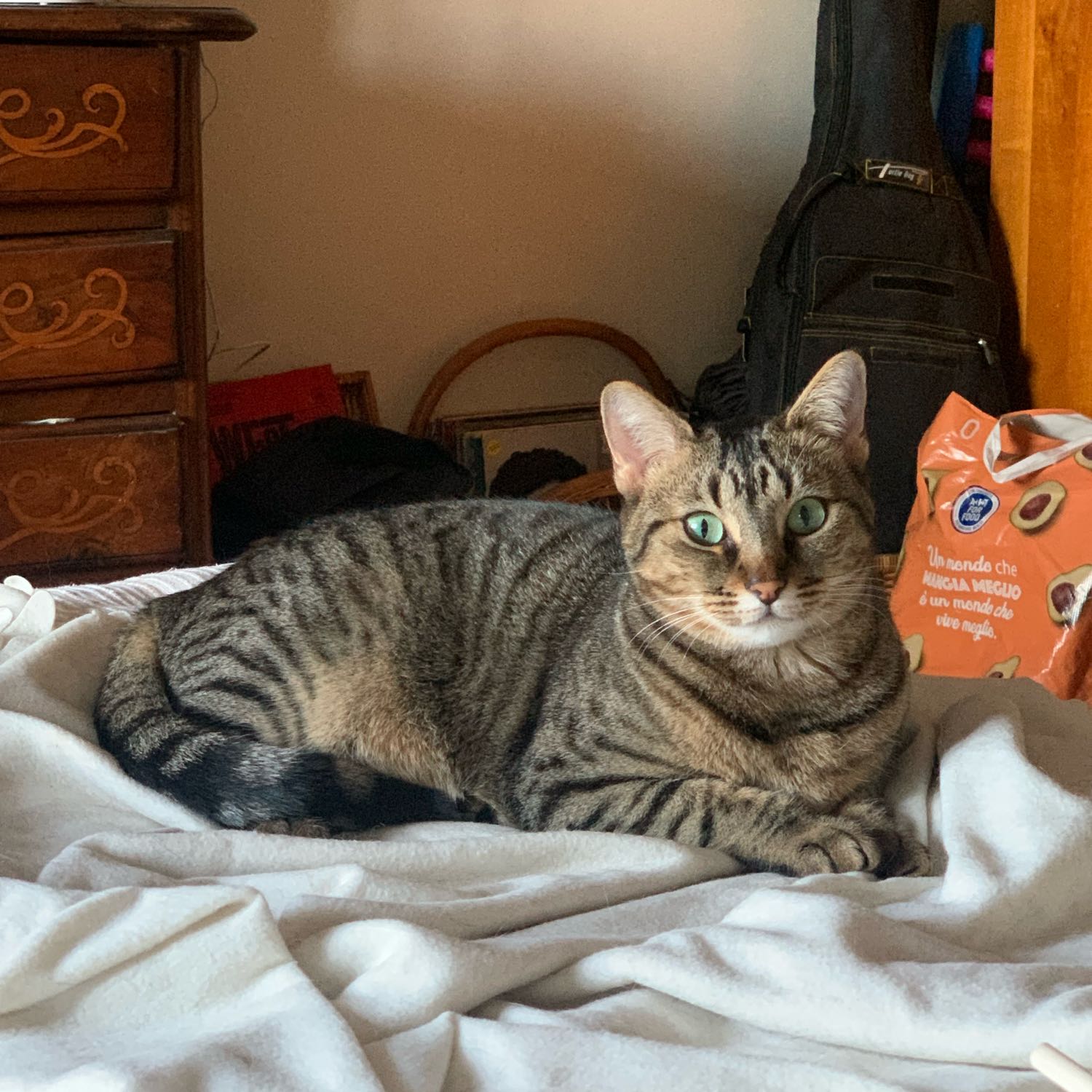 Dorothy