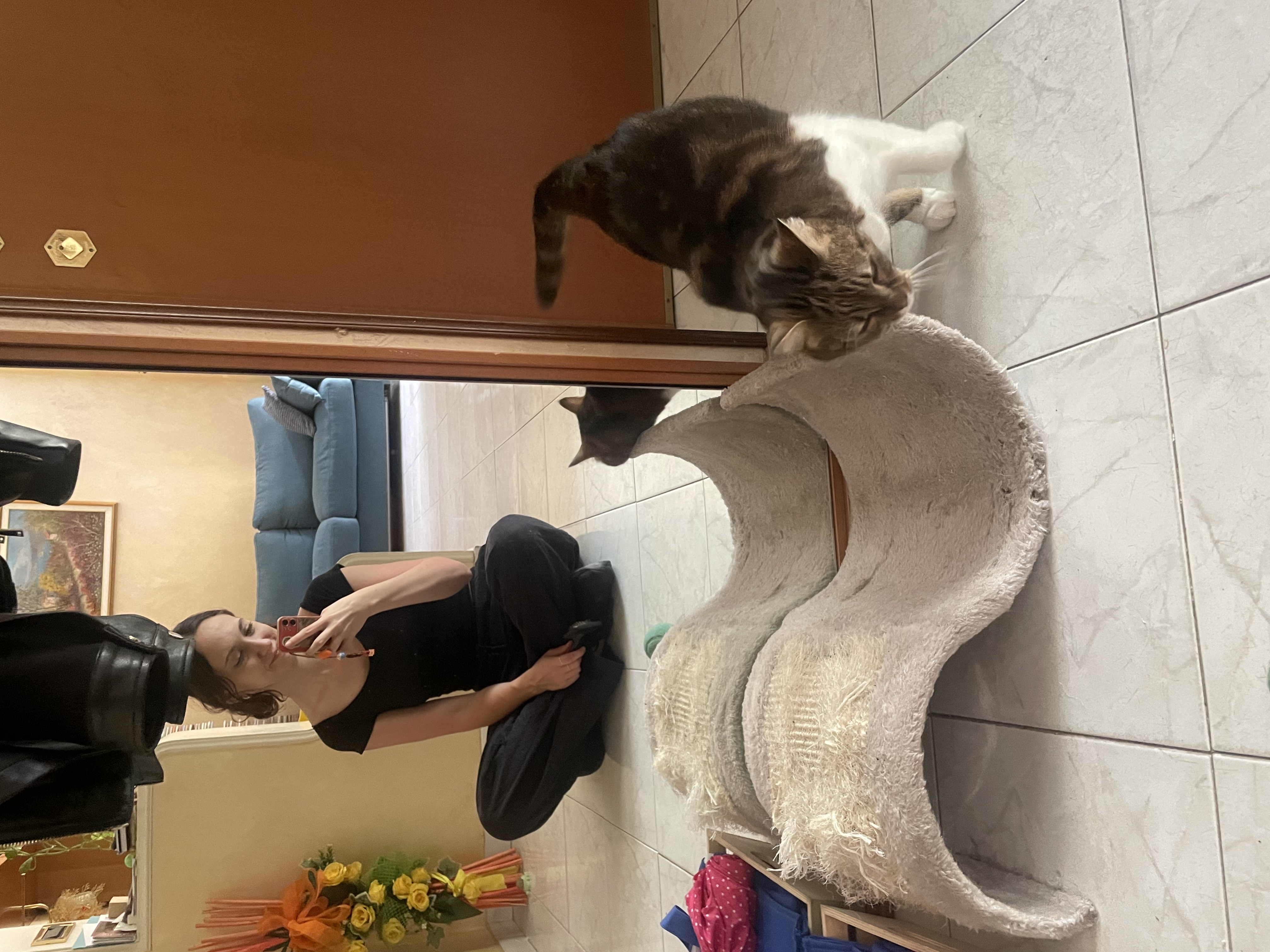 image-10