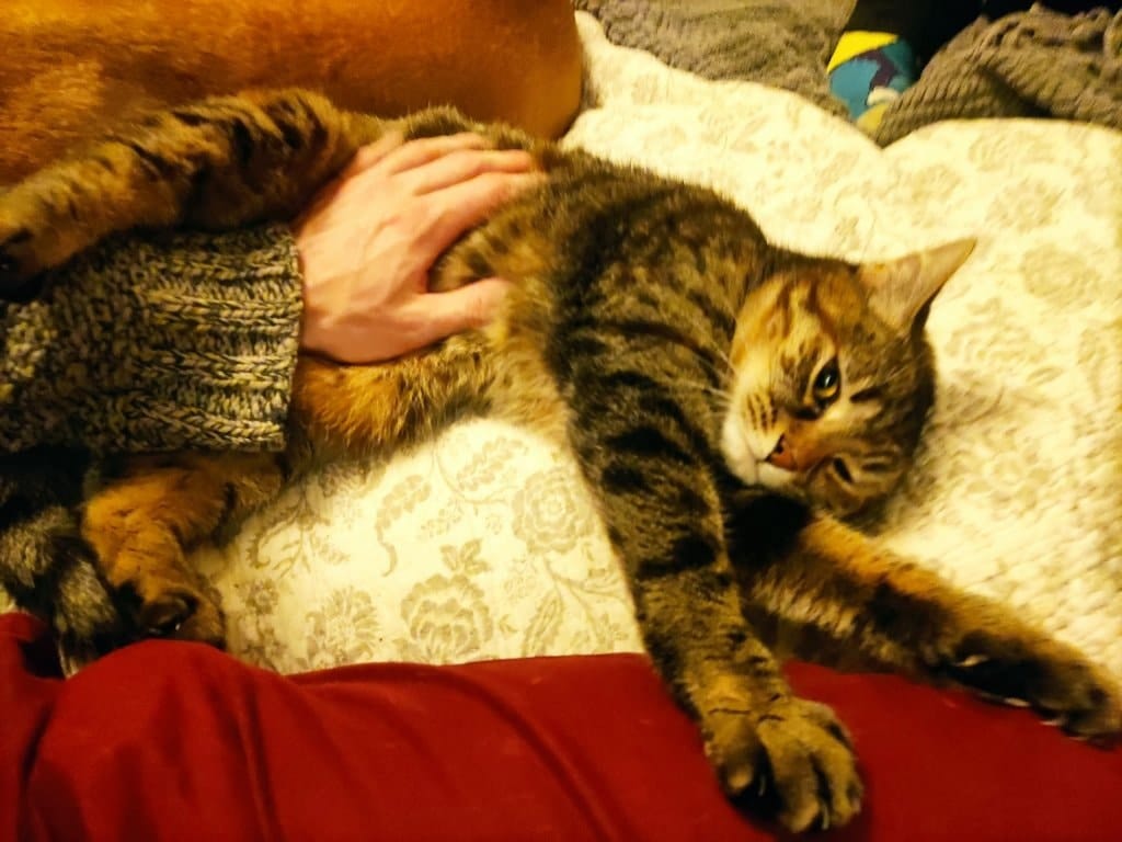 image-5