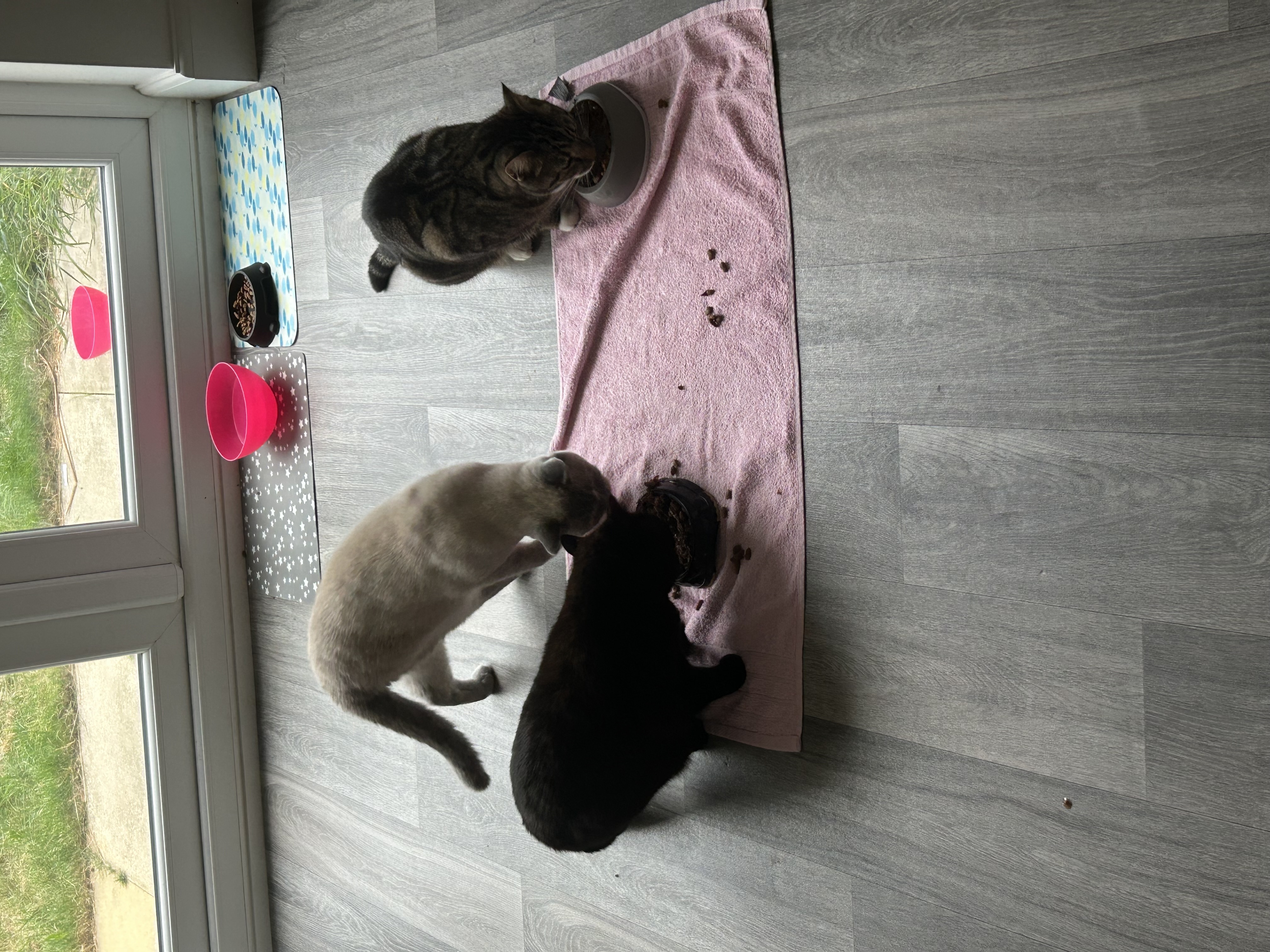 image-8