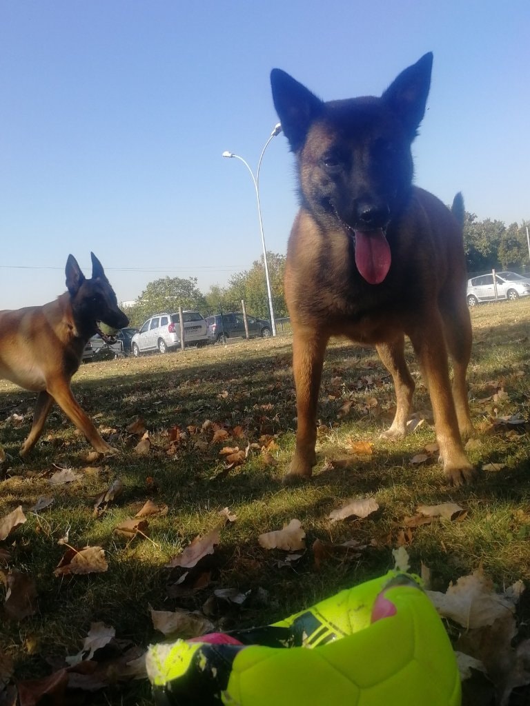 image-3