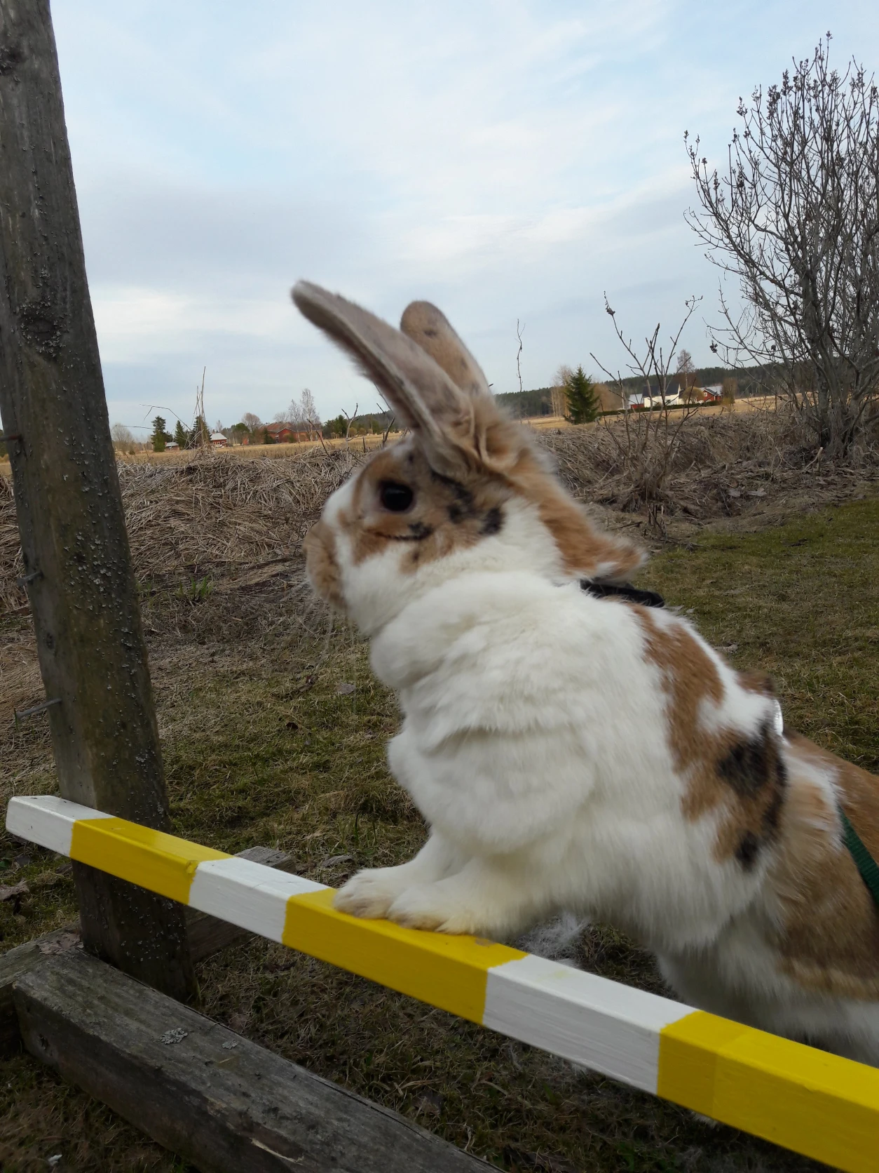 image-9