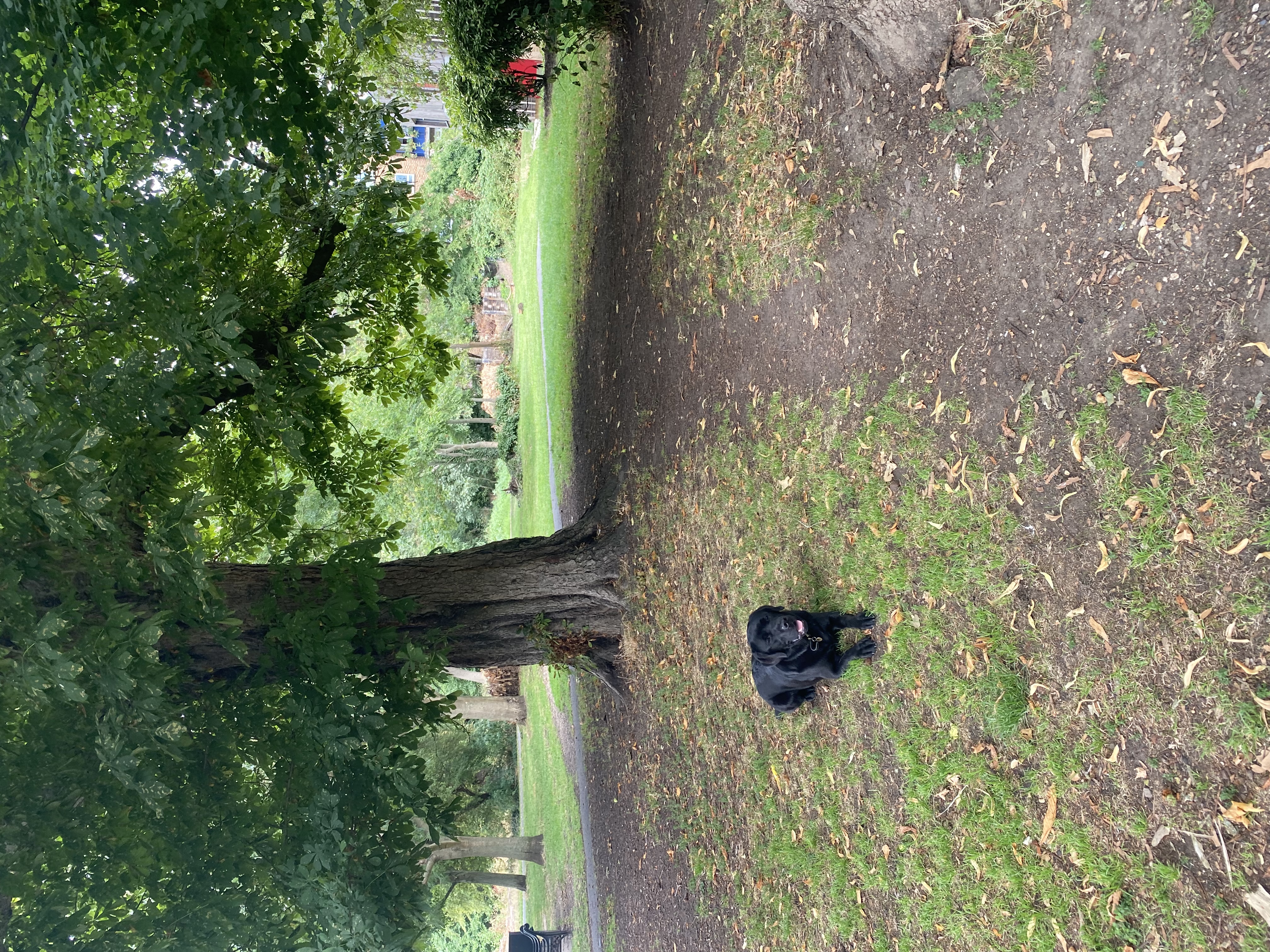 image-5