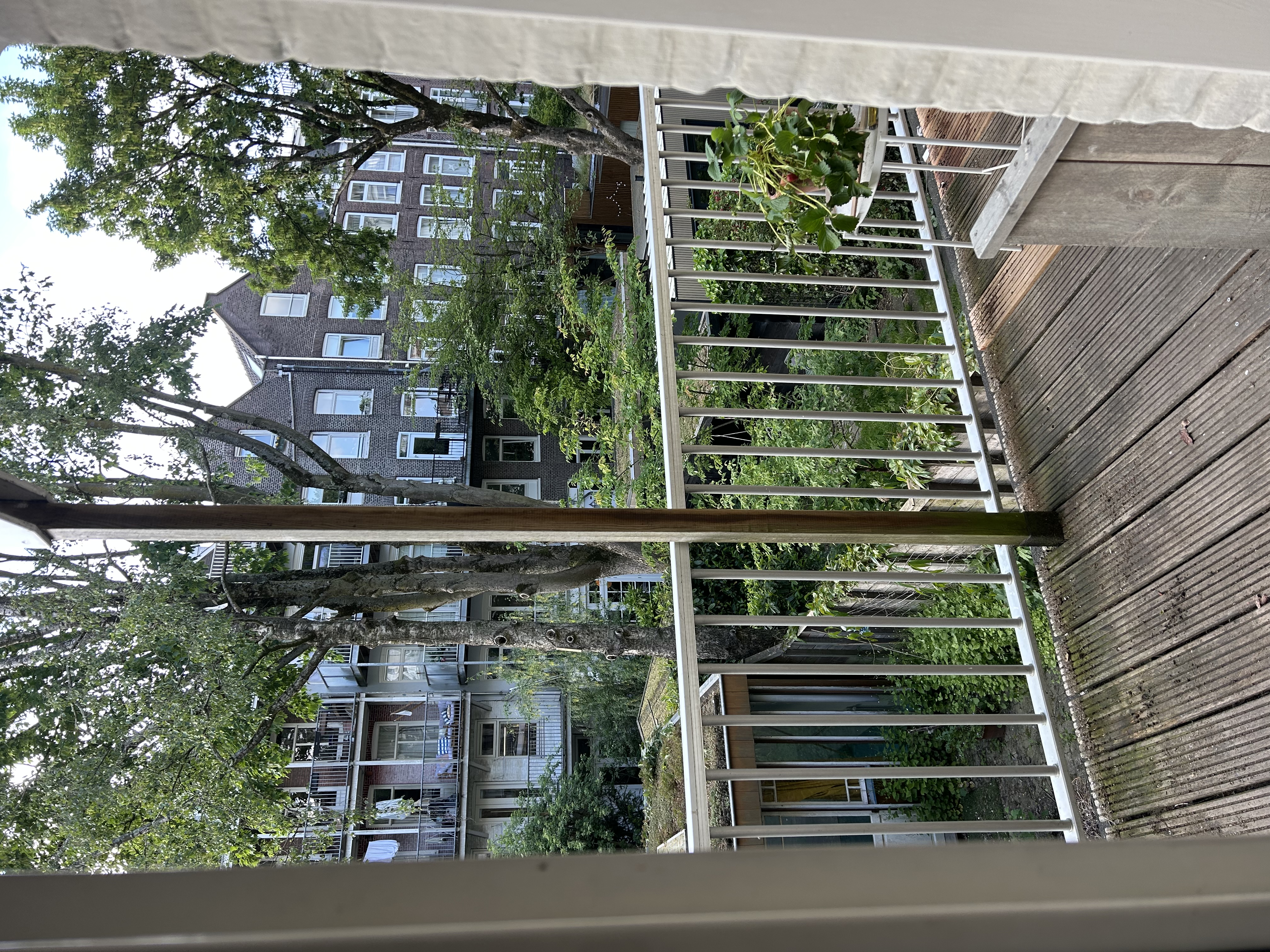 image-17