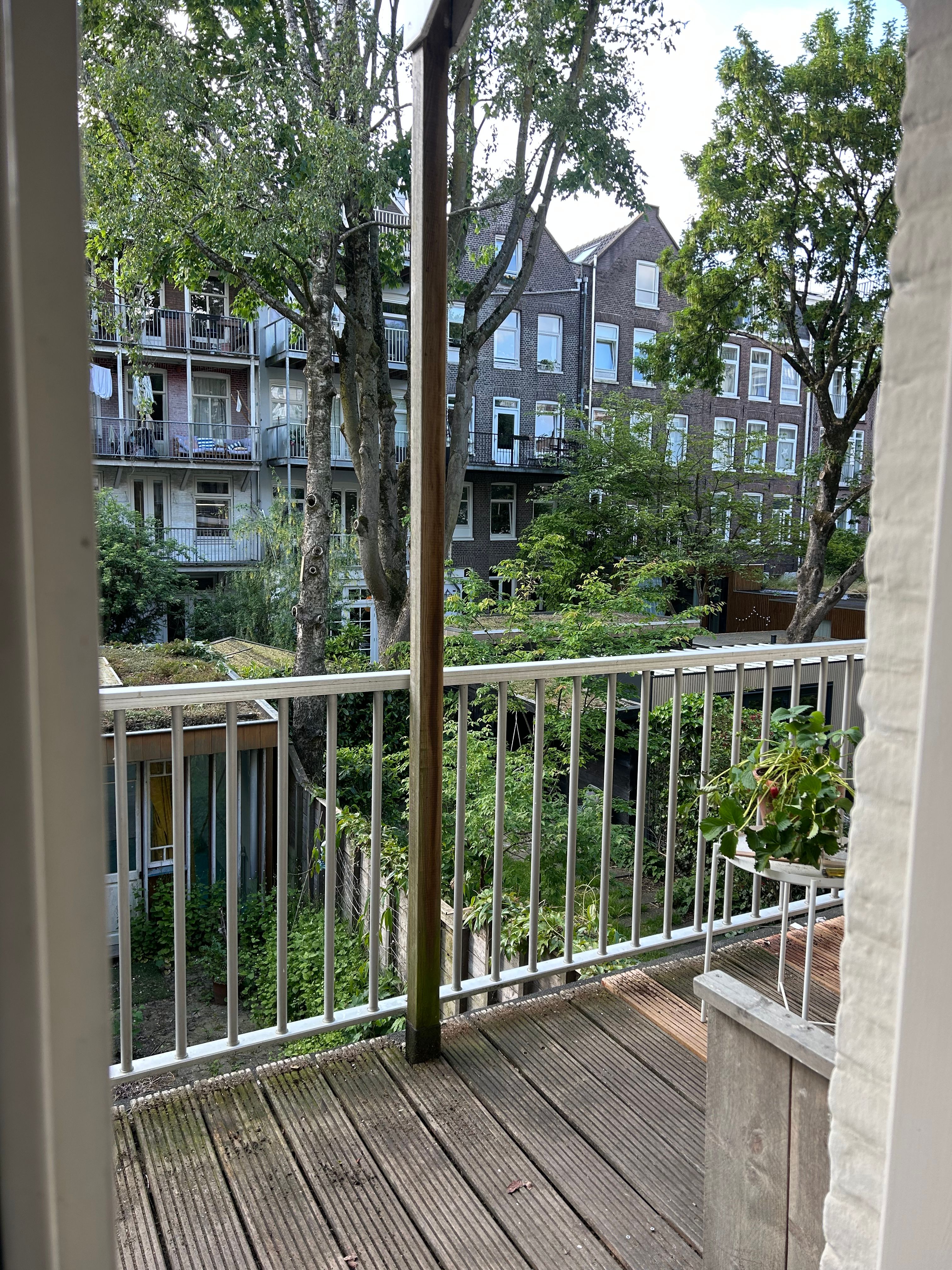 image-17