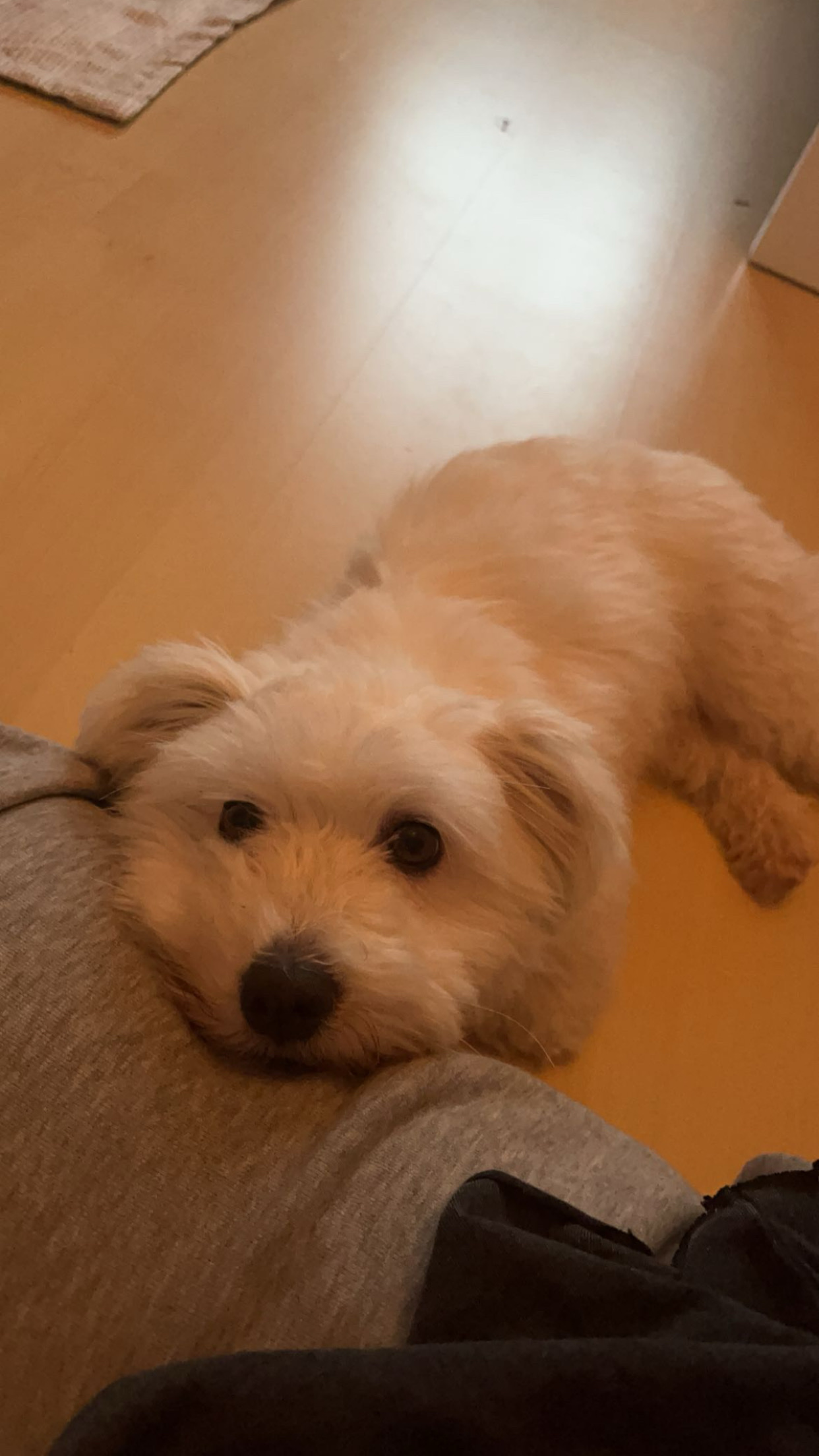 image-6