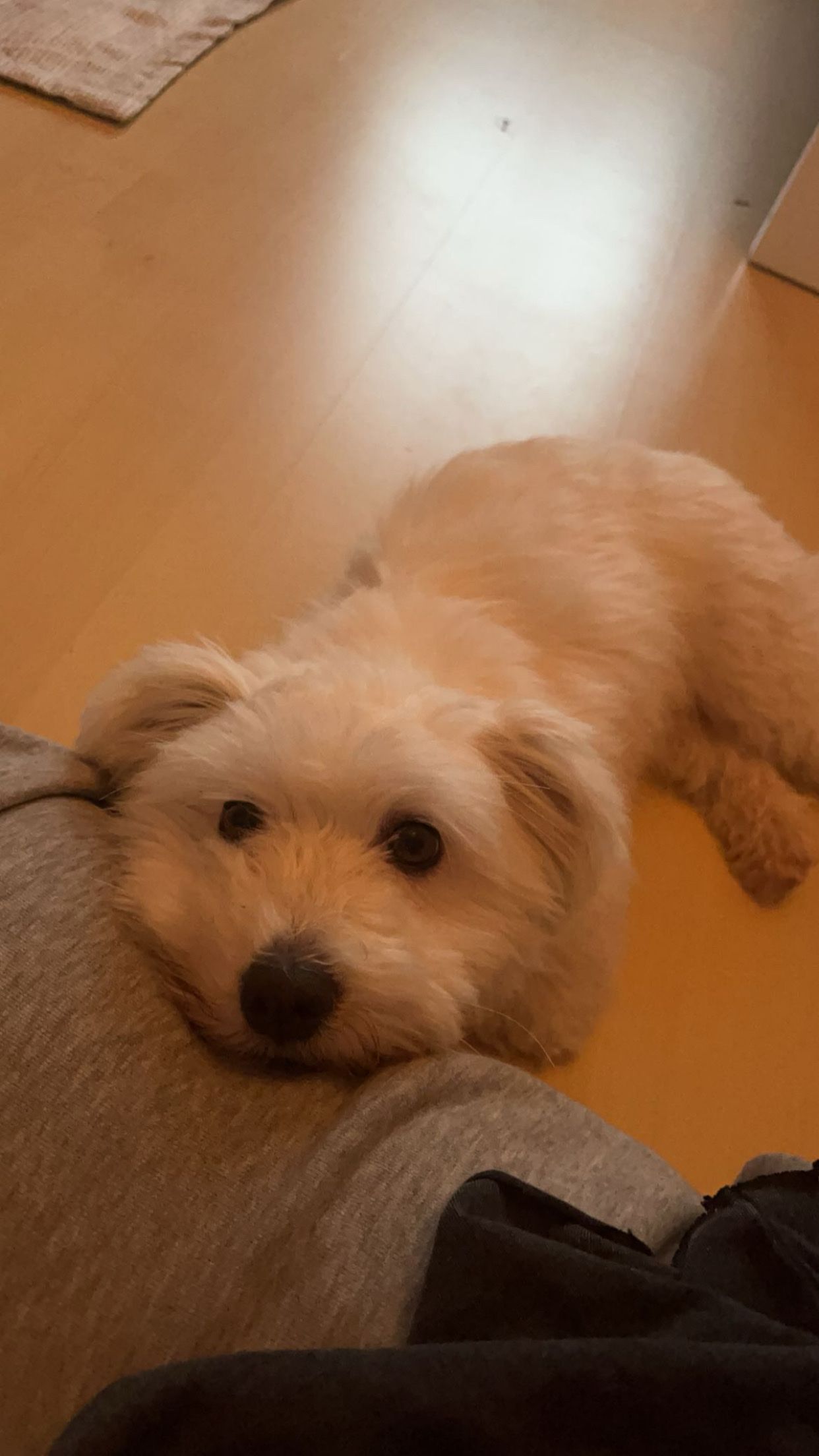 image-6