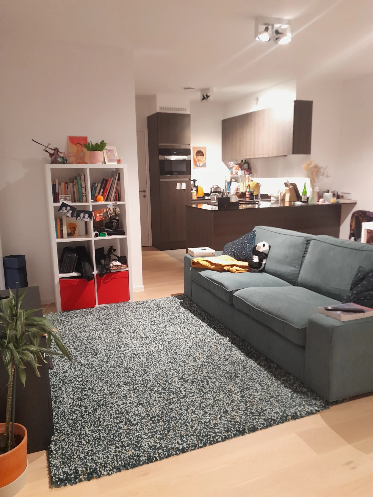 image-13