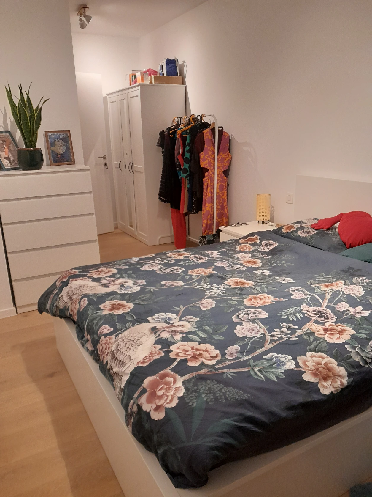 image-15