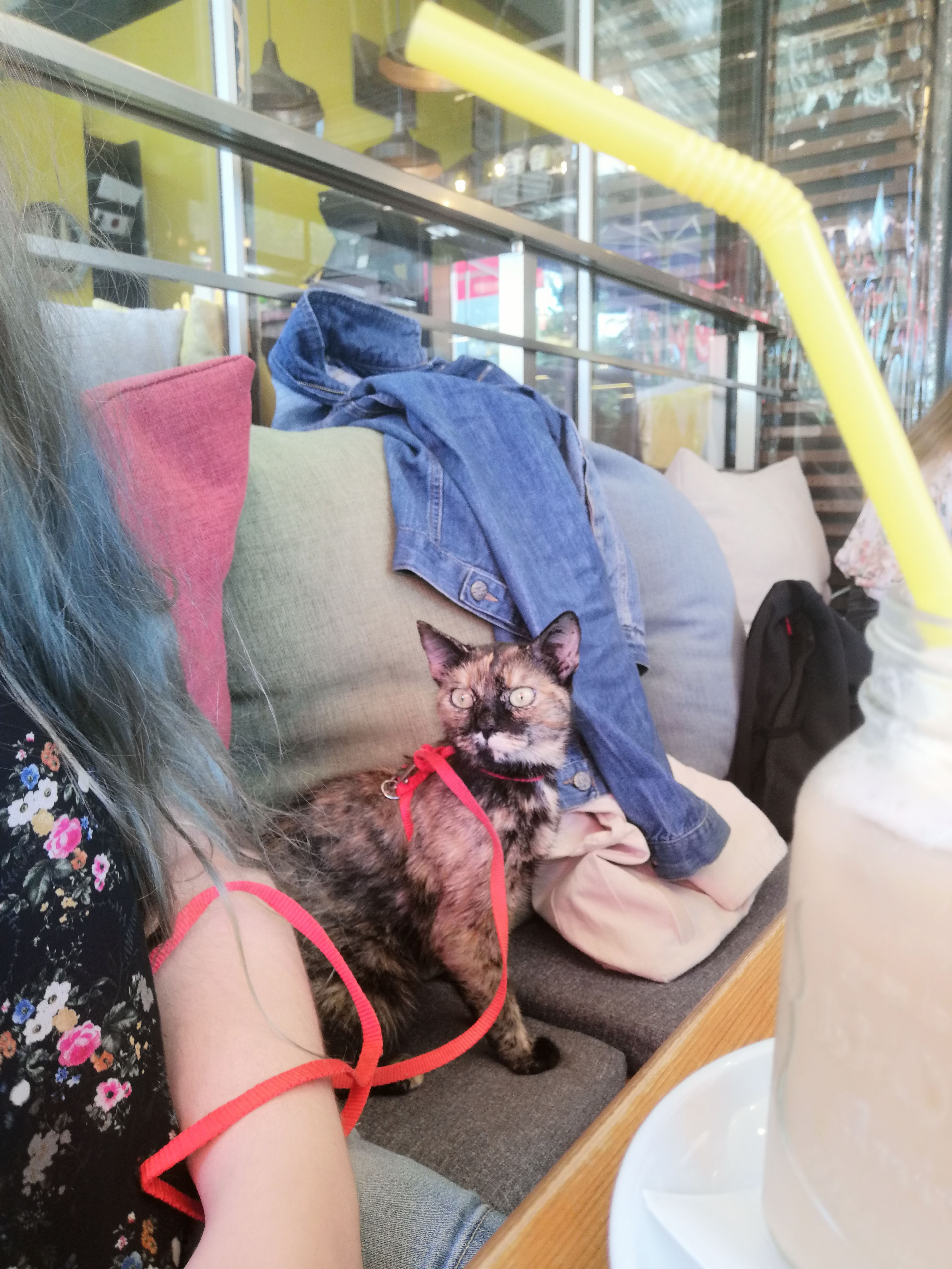 image-6