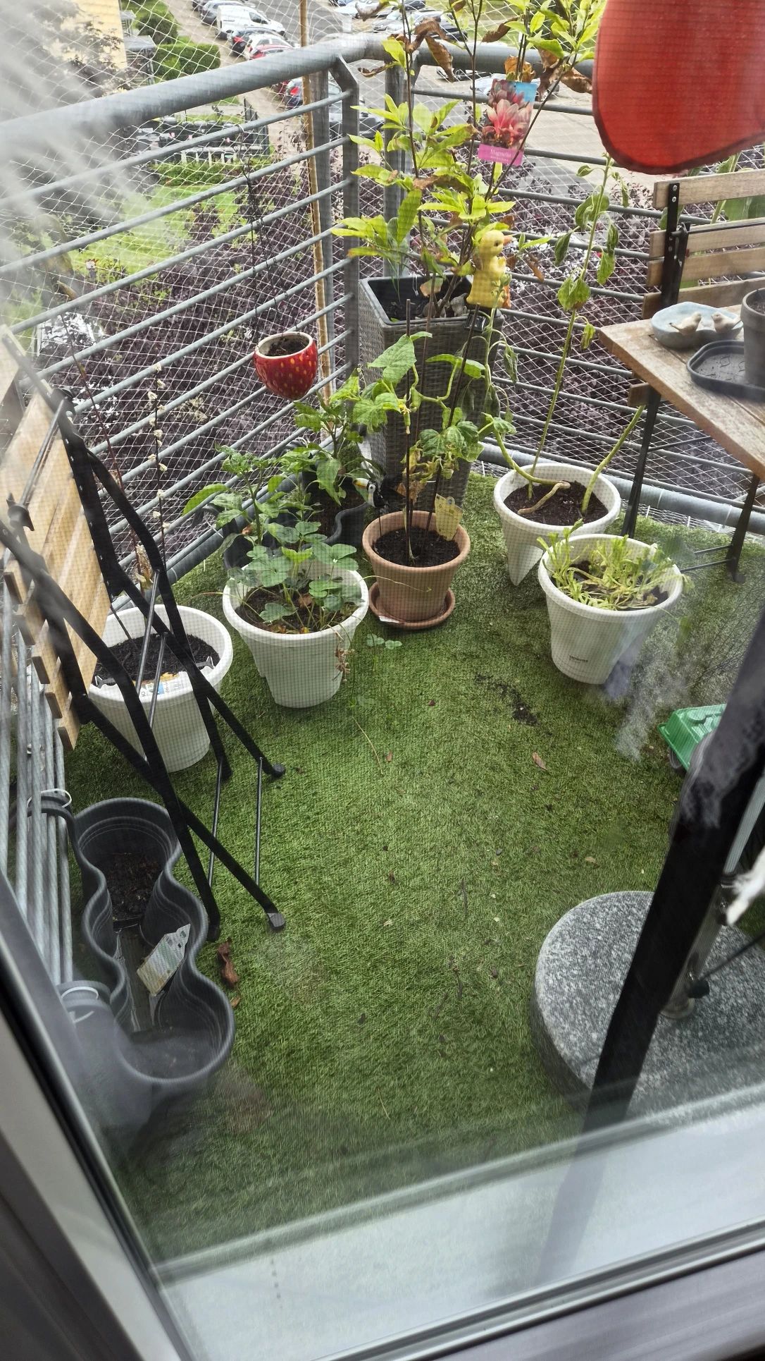 image-8